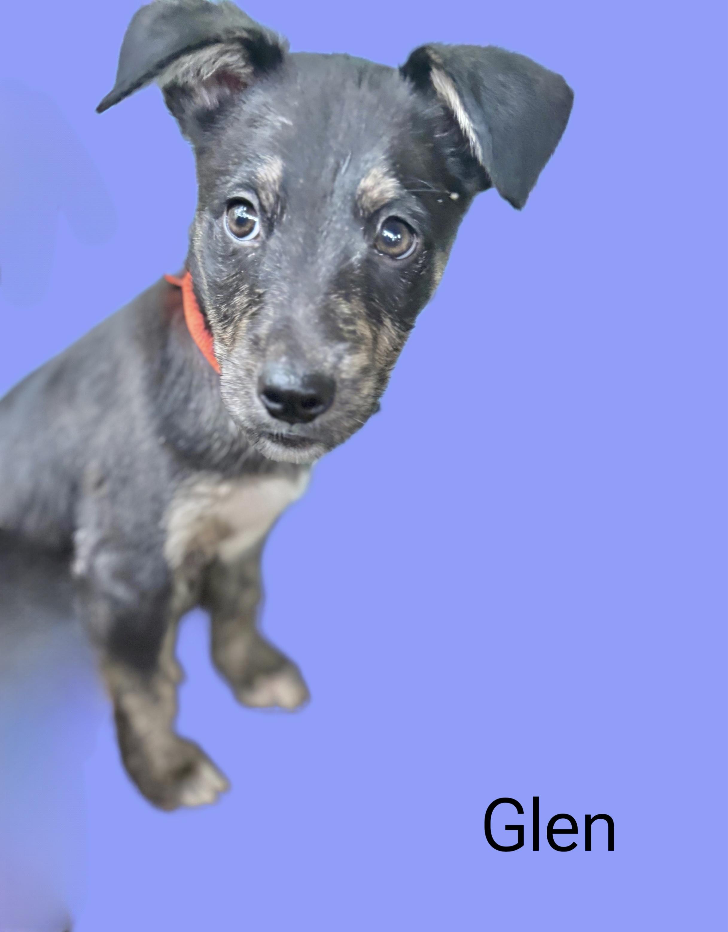 Glen