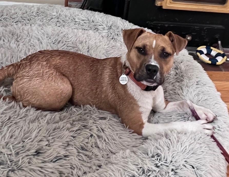 Photo of Sugar