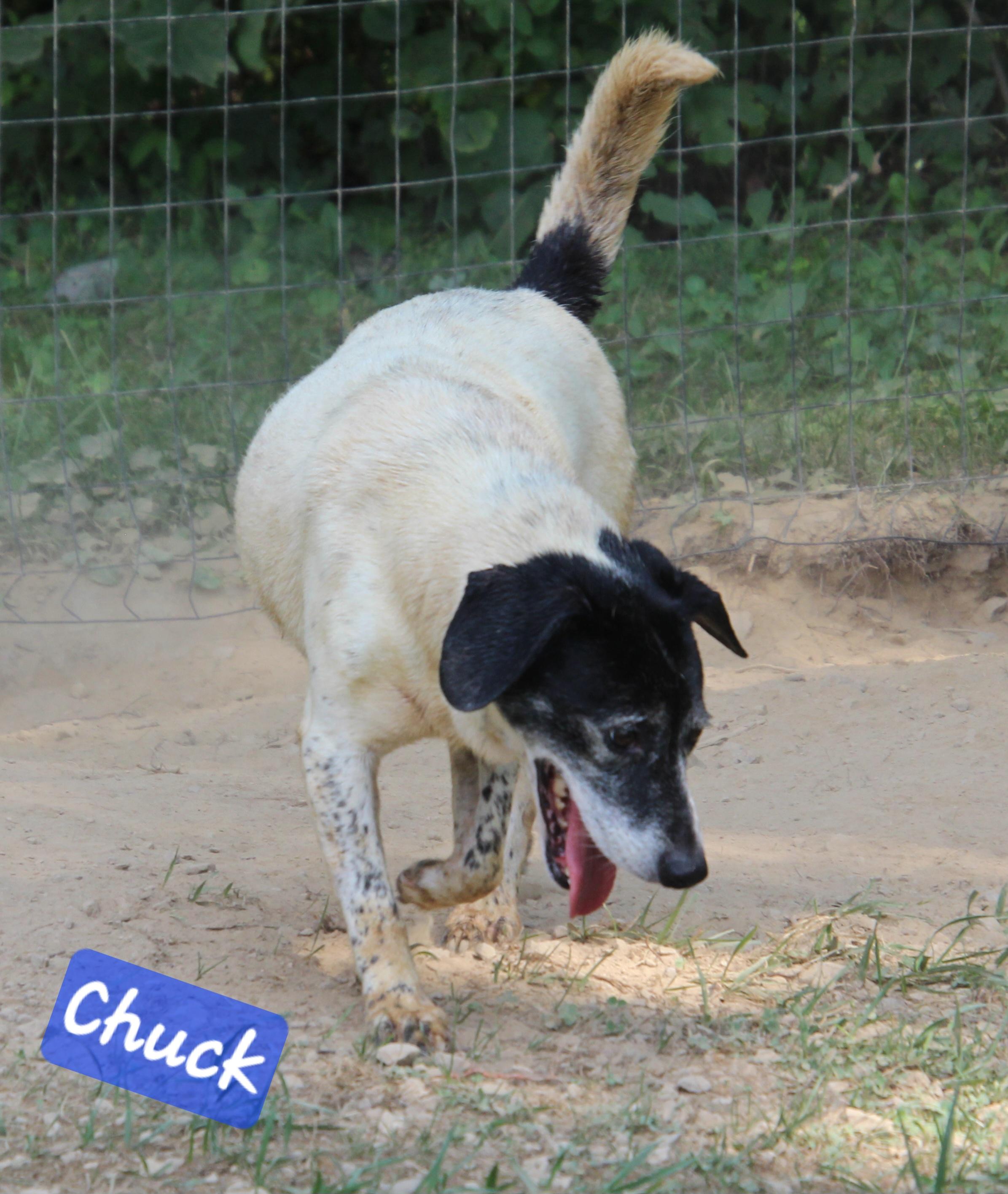 Chuck- fee partially sponsored