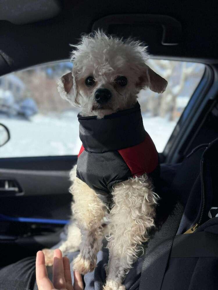 Gerald — thumbnail 2