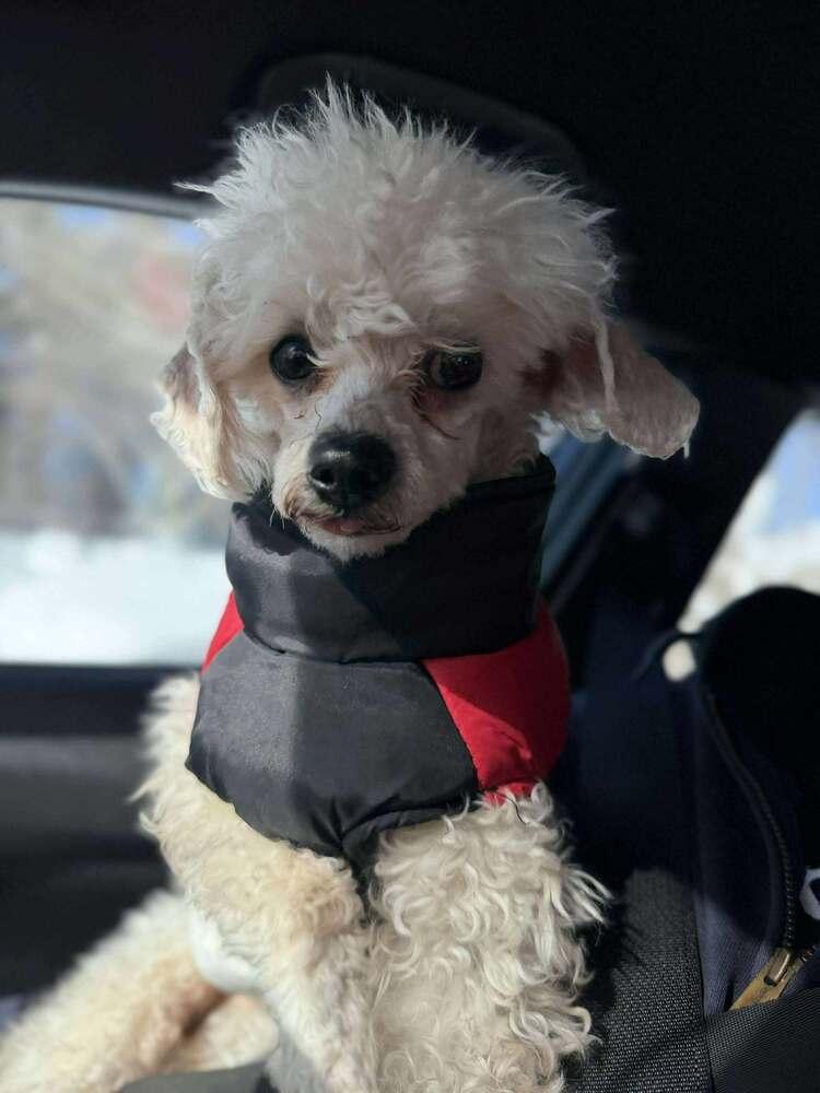 Gerald — thumbnail 3