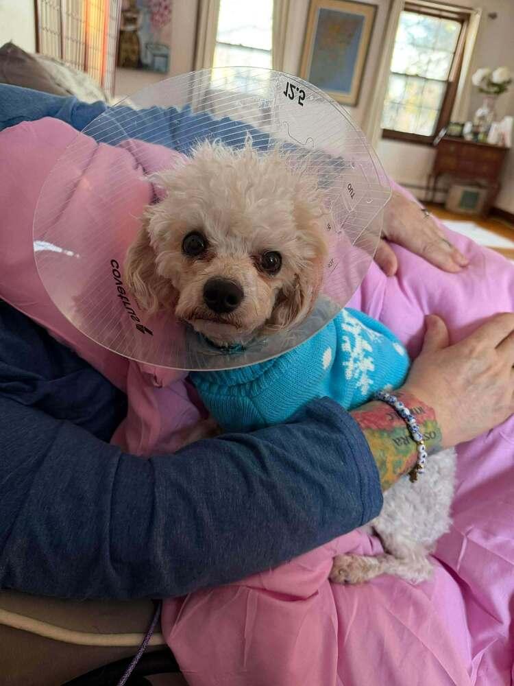 Gerald — thumbnail 4