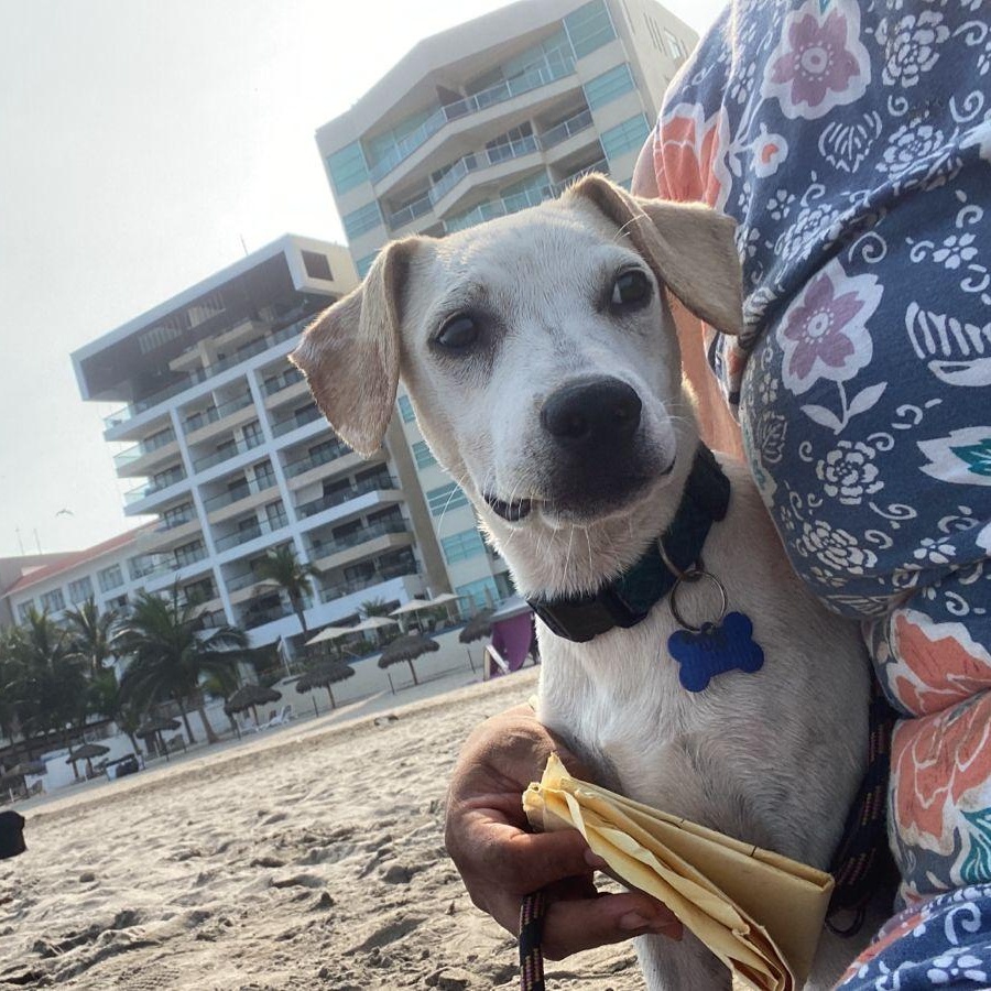 Gonzo photo 6