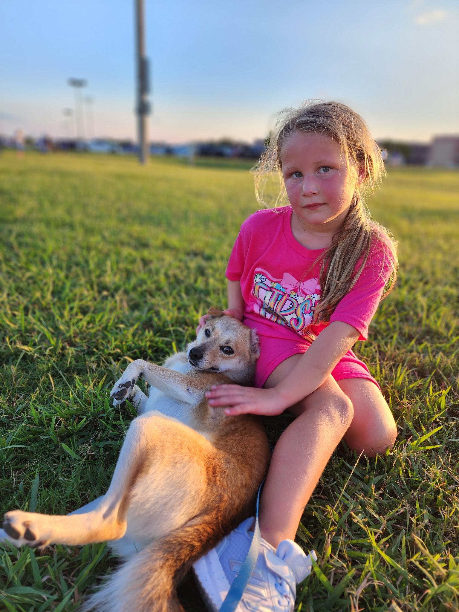 Lil Man, a Adopted mixed breed in Houston, TX image 4/6