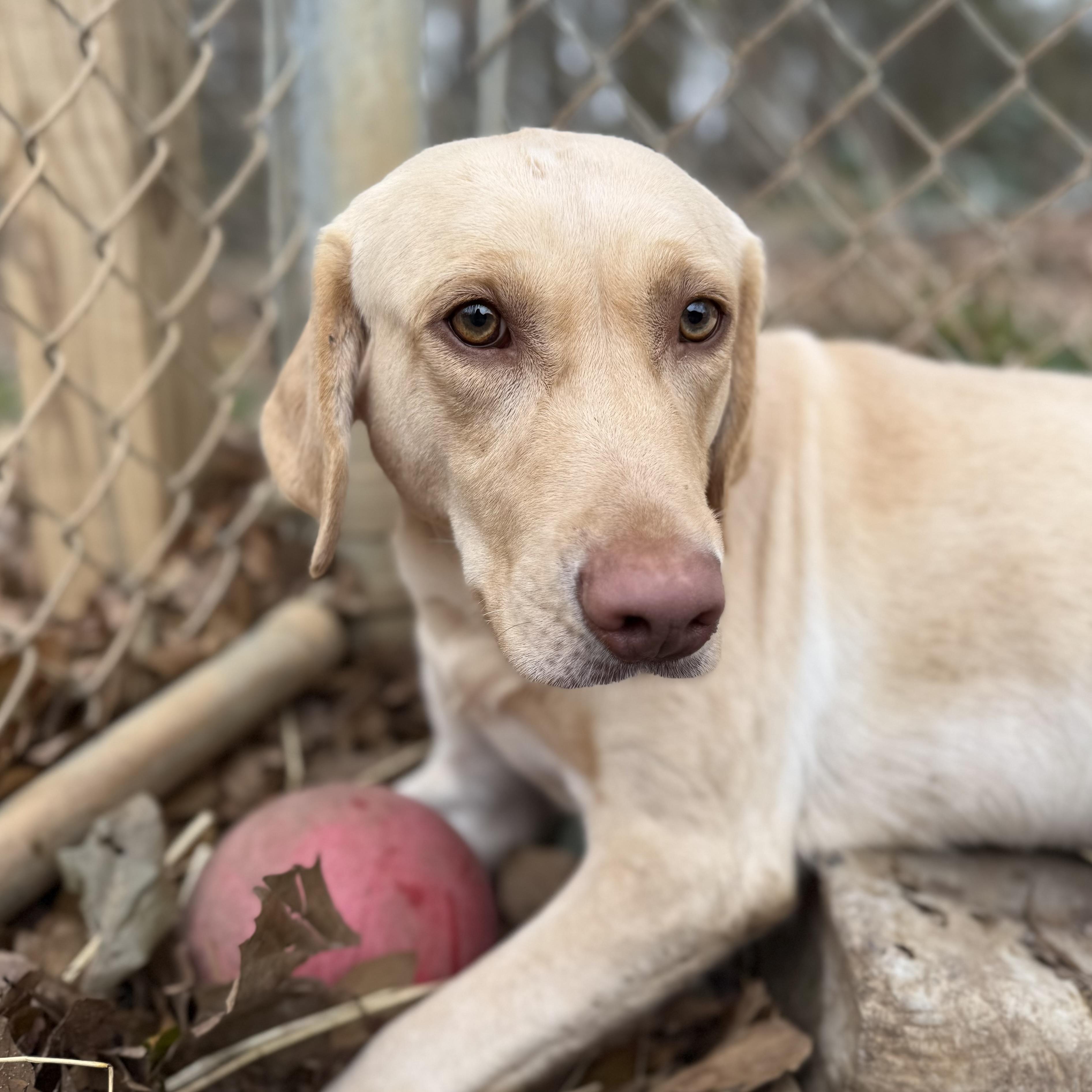 Steve Harvey — thumbnail 6