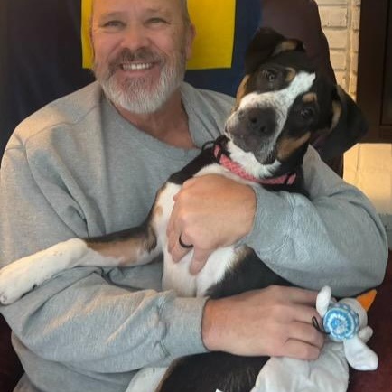 Enlarge Nova, a Adopted mixed breed in Grand Blanc, MI image 3/3