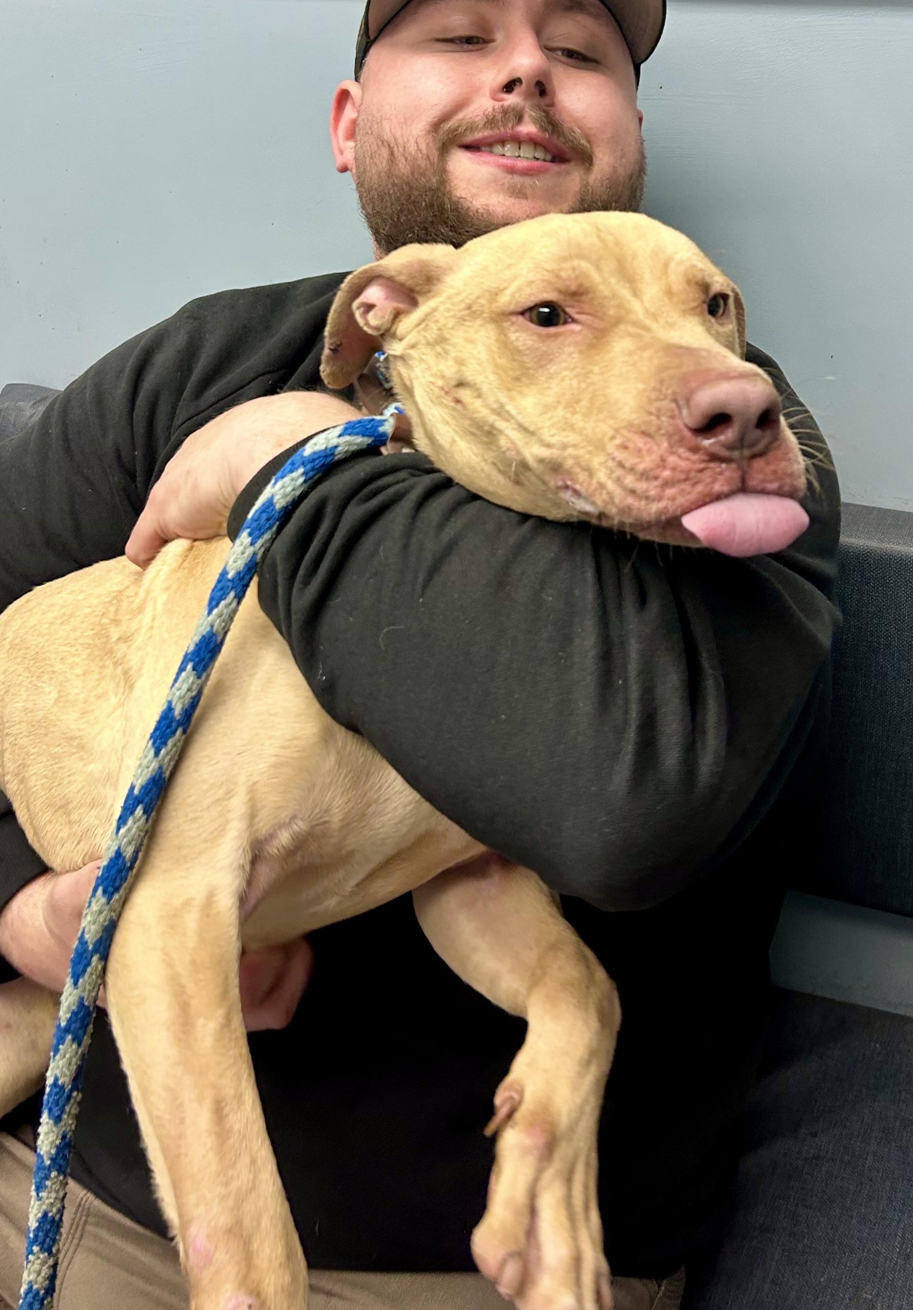 Valor — thumbnail 2