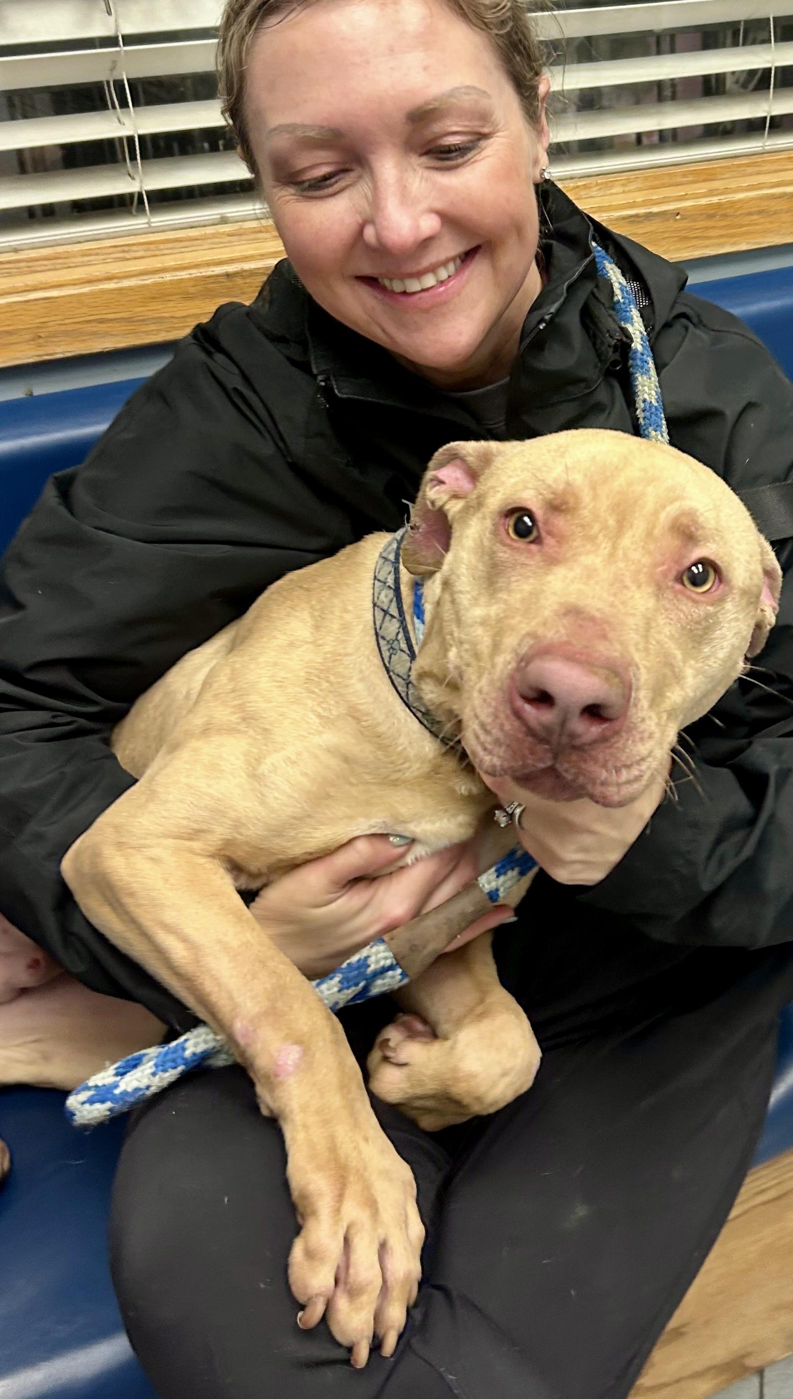 Valor — thumbnail 6