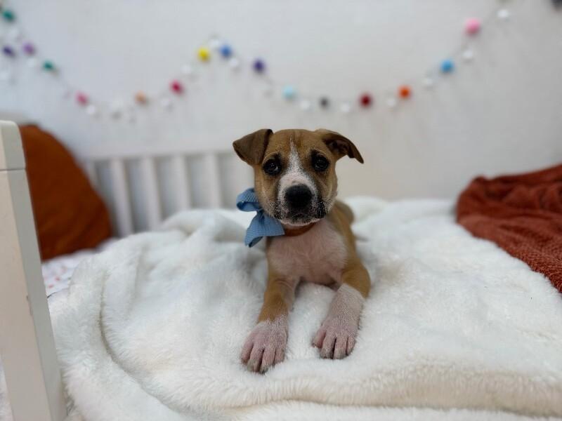 Luke Lover Boy — thumbnail 5