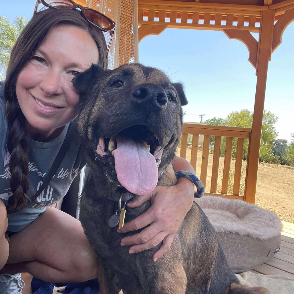 Clover, a Adoptable Mixed Breed in Ramona, CA image 6/6