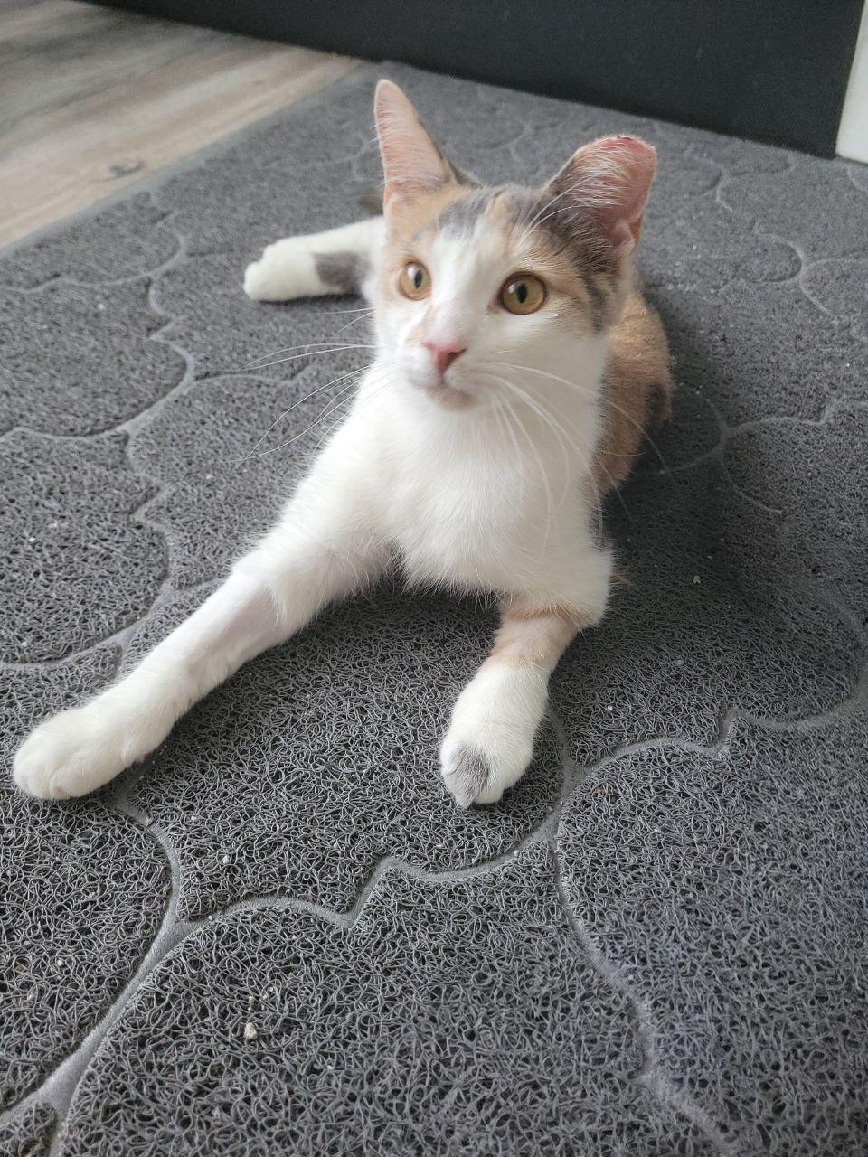 Squibby photo 2