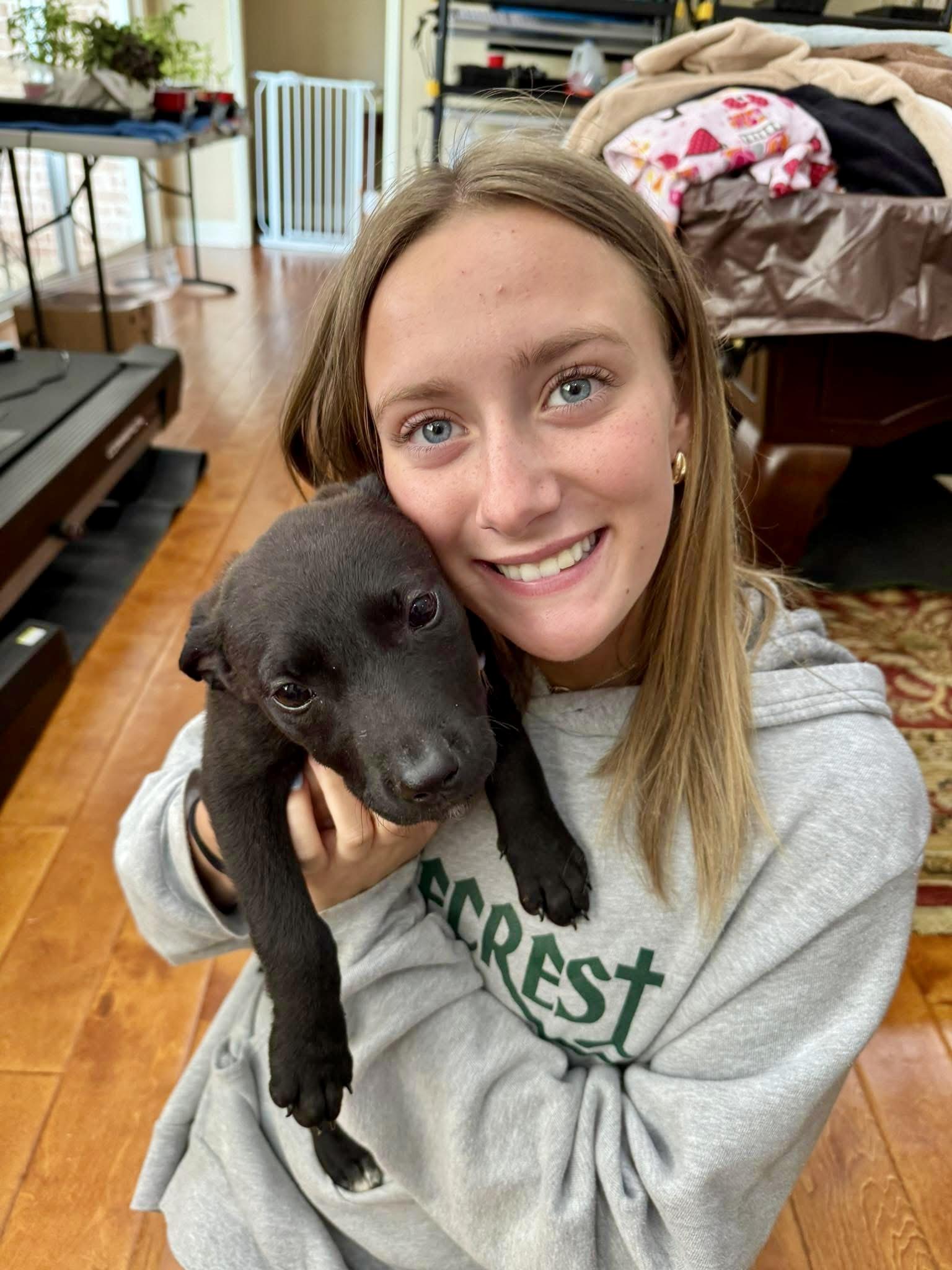 Enlarge Roxie, a Adopted mixed breed in Germantown , TN image 5/5