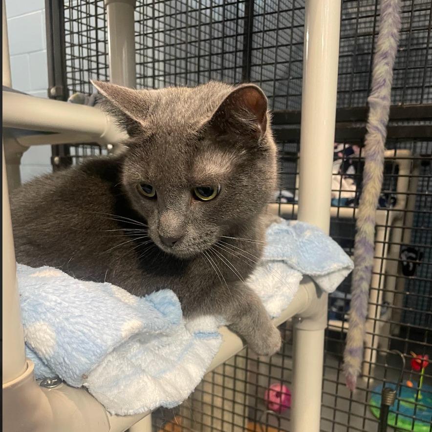 Frosty — thumbnail 2