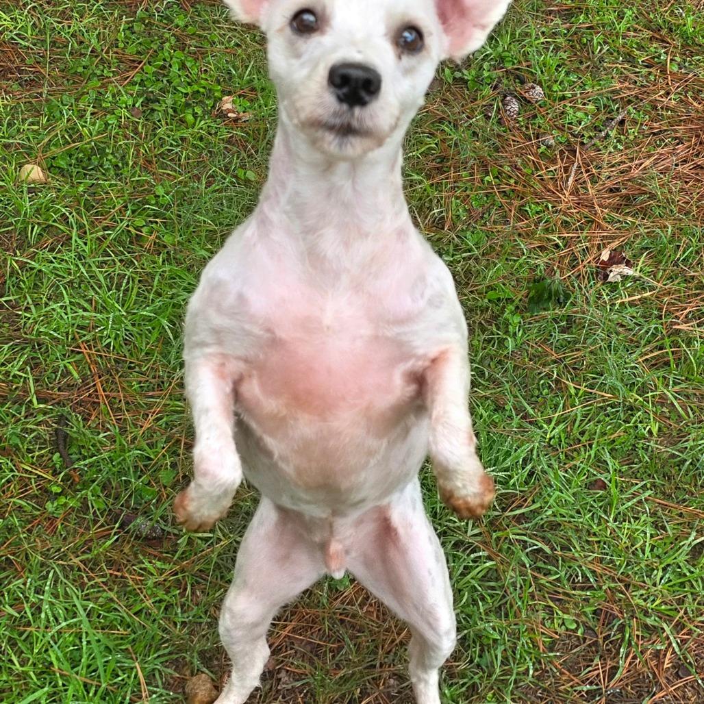 Sammy Wonder thumbnail 2