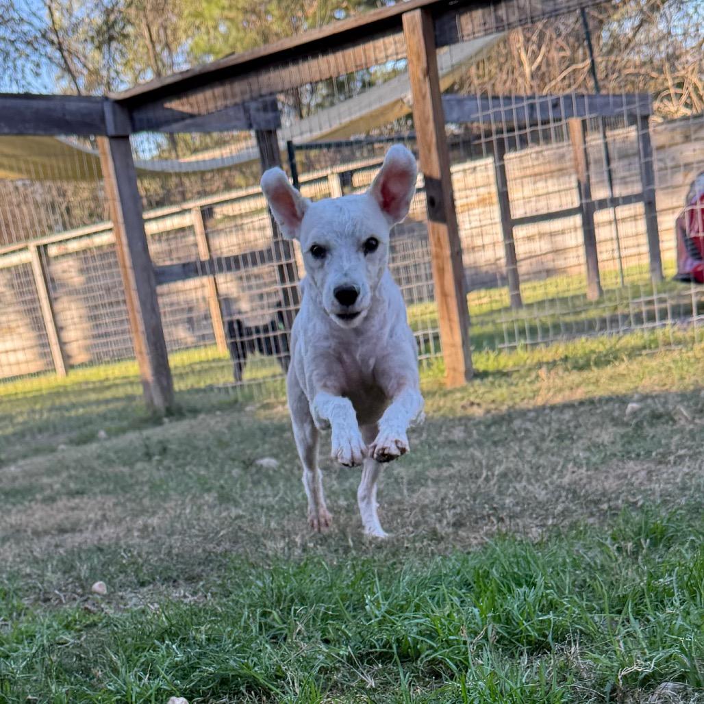 Sammy Wonder thumbnail 3