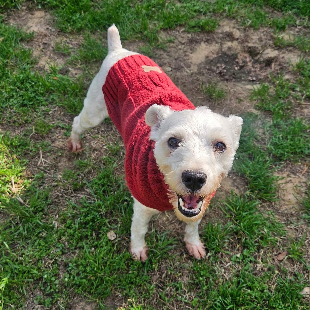 Sammy Wonder — thumbnail 5