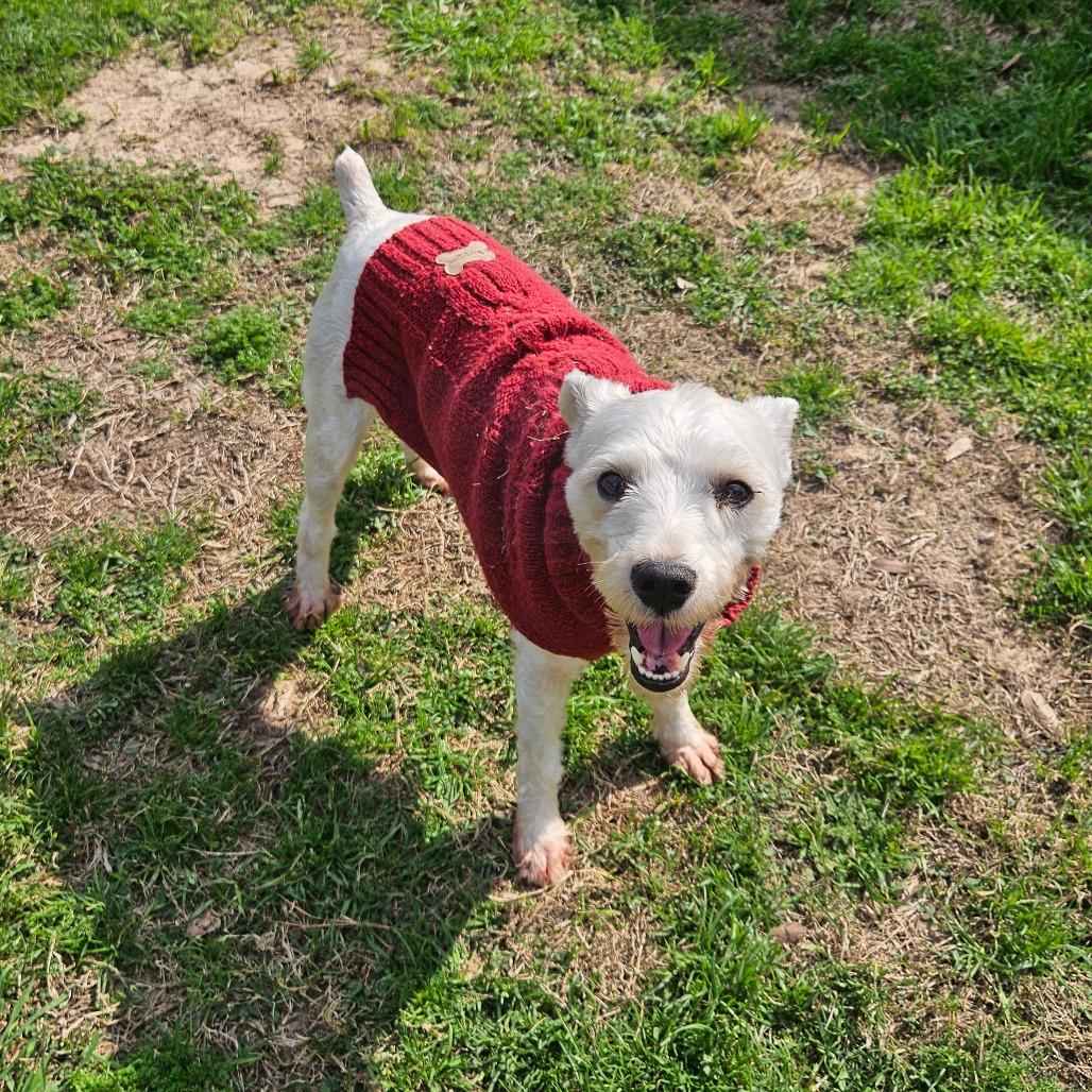 Sammy Wonder — thumbnail 6