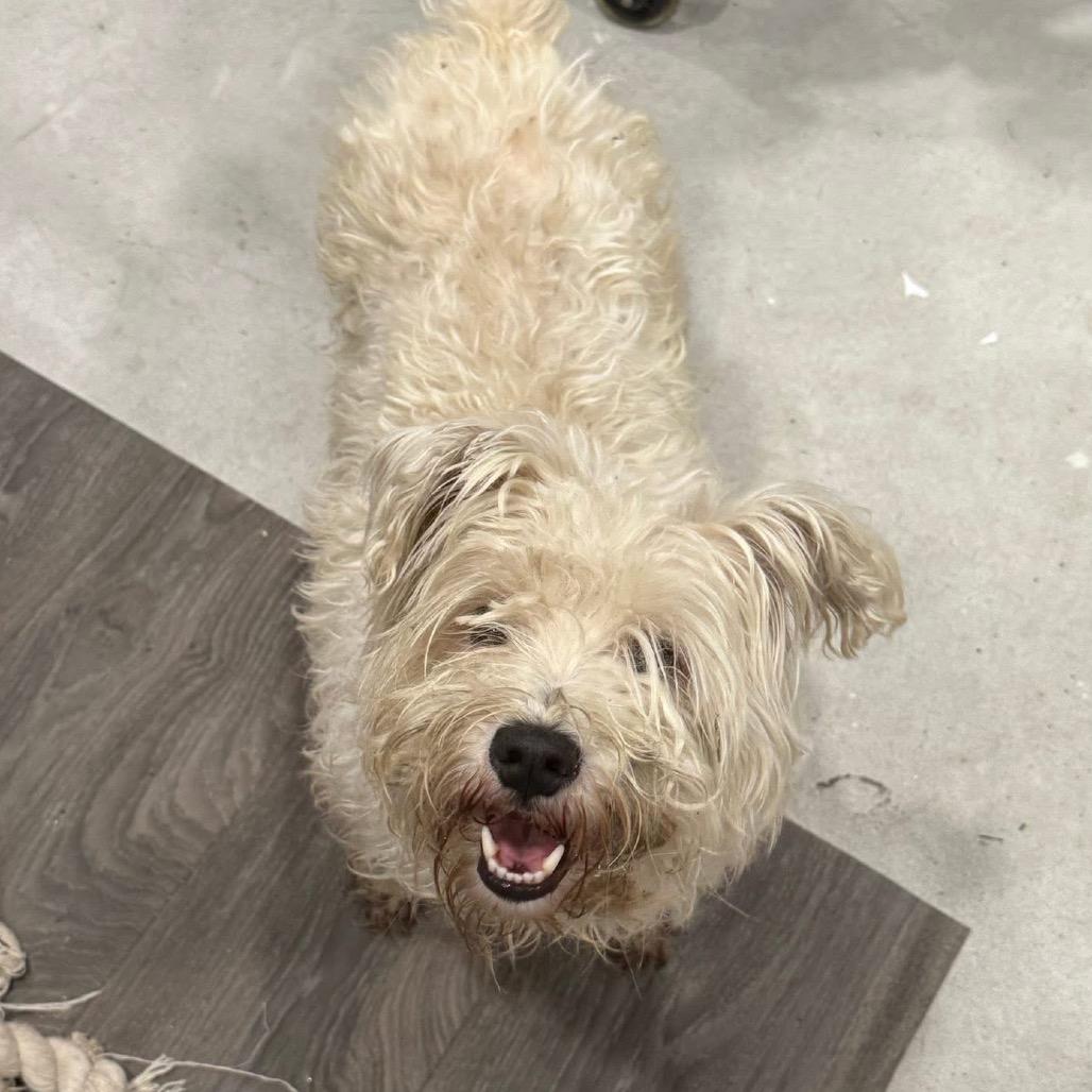 Sammy Wonder thumbnail 4