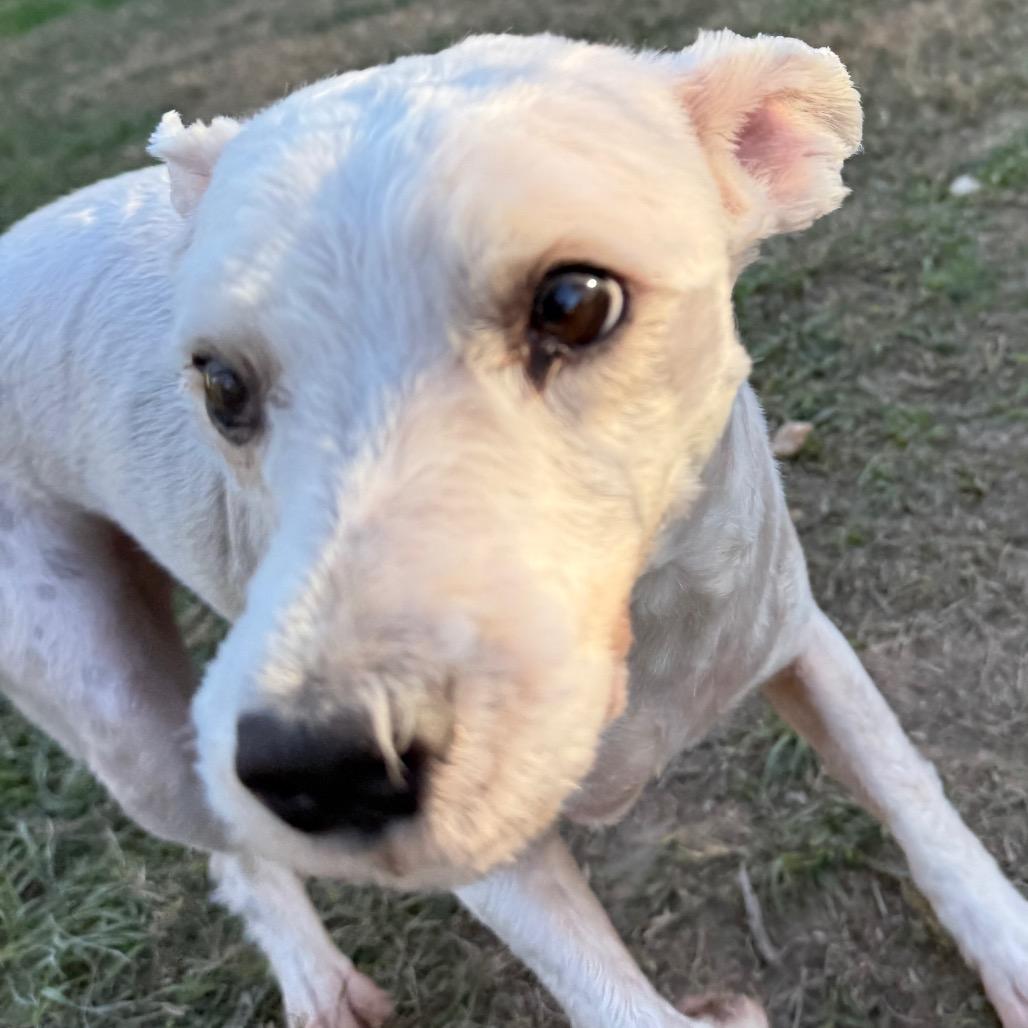 Sammy Wonder thumbnail 5