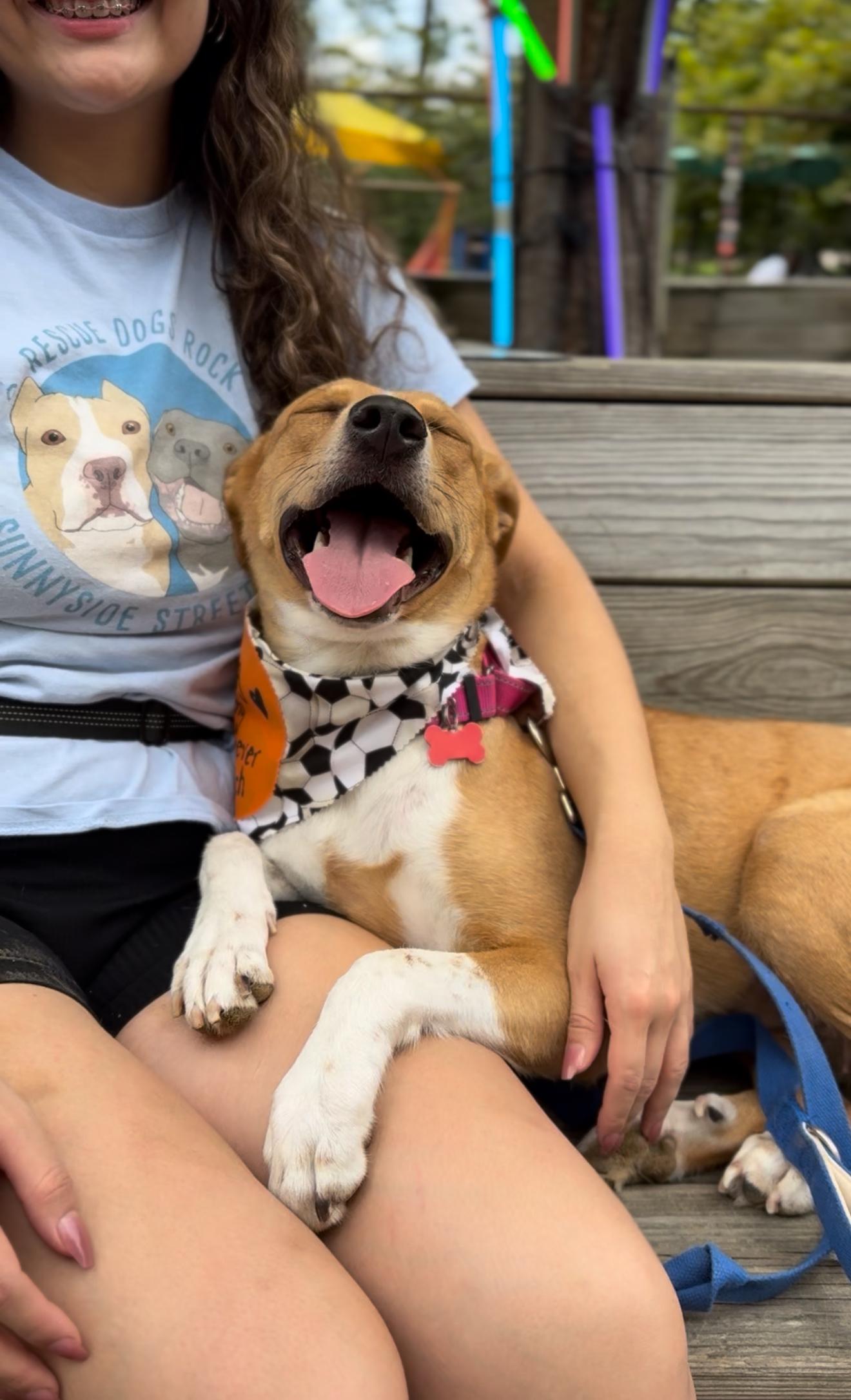 Shelly Bean thumbnail 4