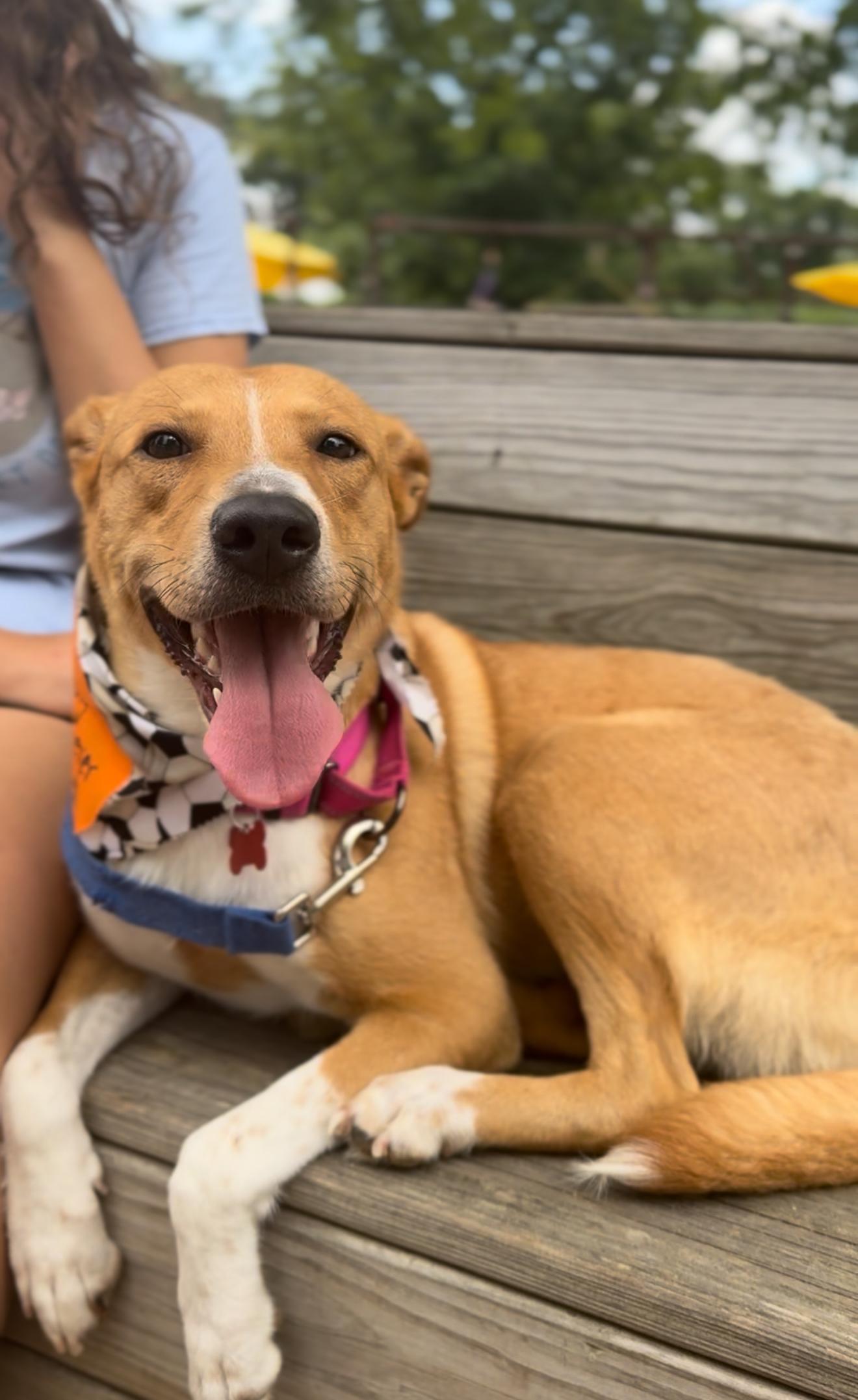 Shelly Bean thumbnail 5