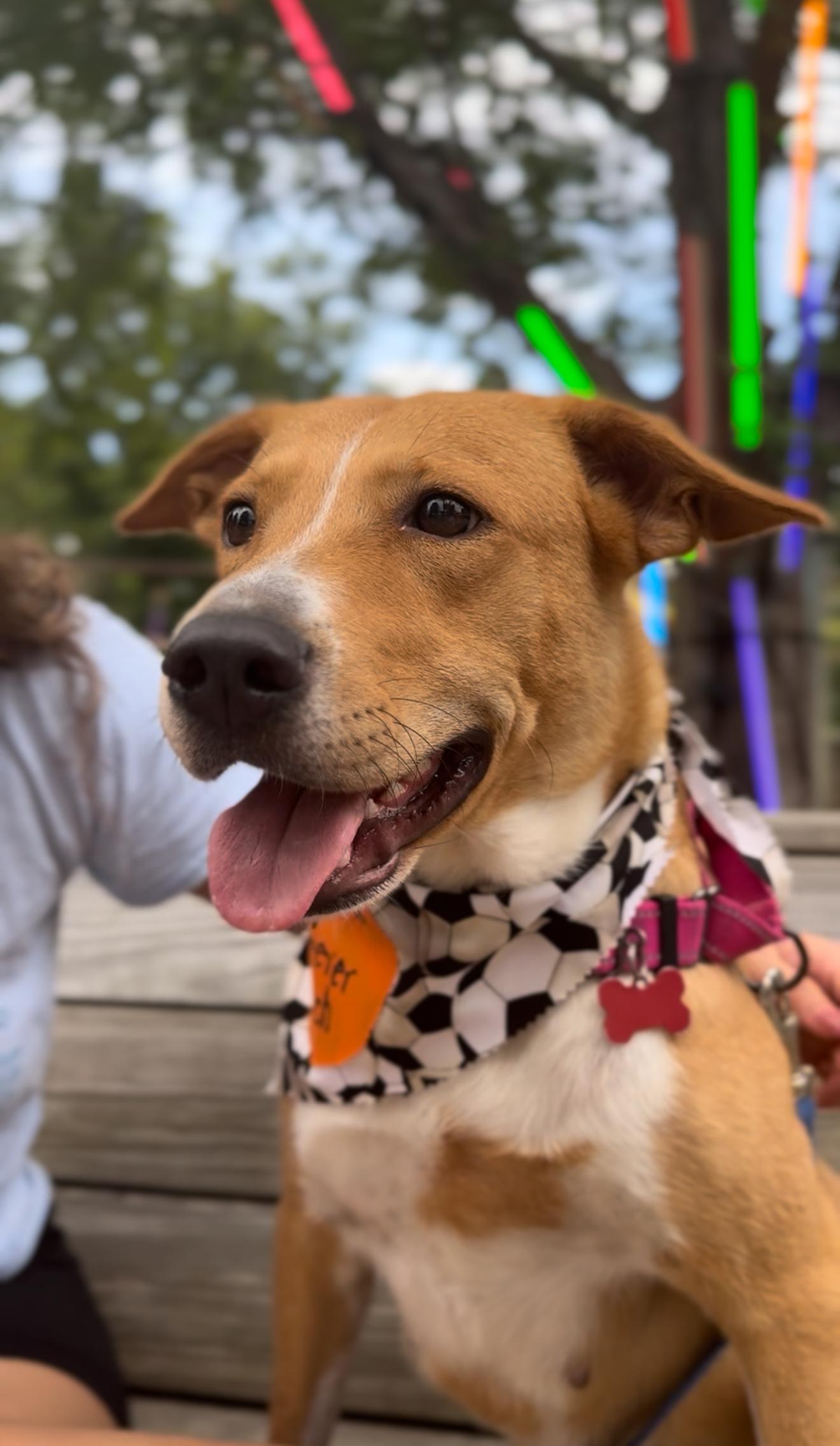 Shelly Bean thumbnail 6