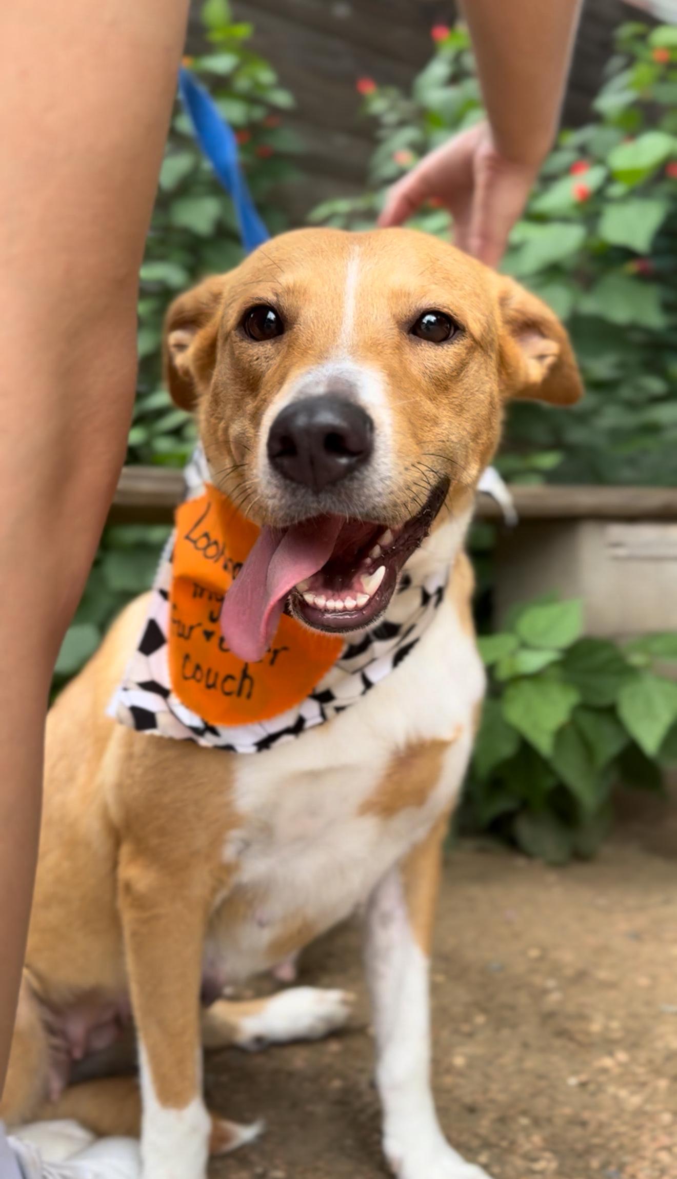 Shelly Bean thumbnail 3