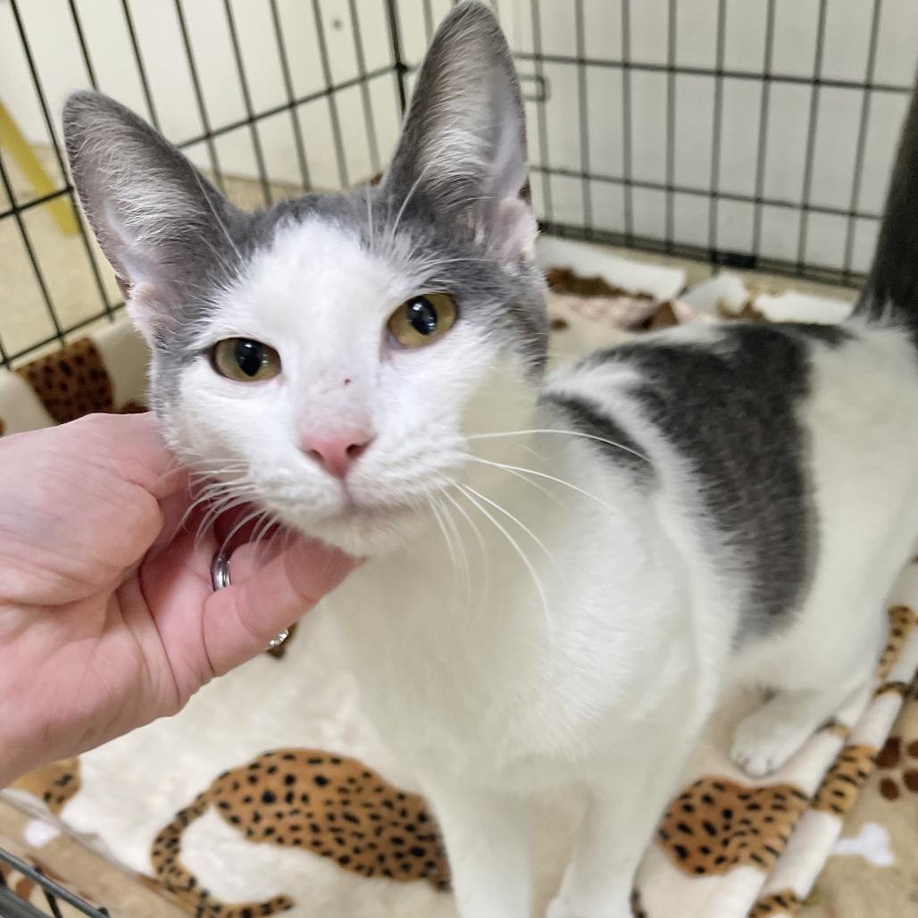 Misty — thumbnail 3