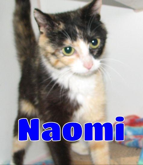 #5404 Naomi