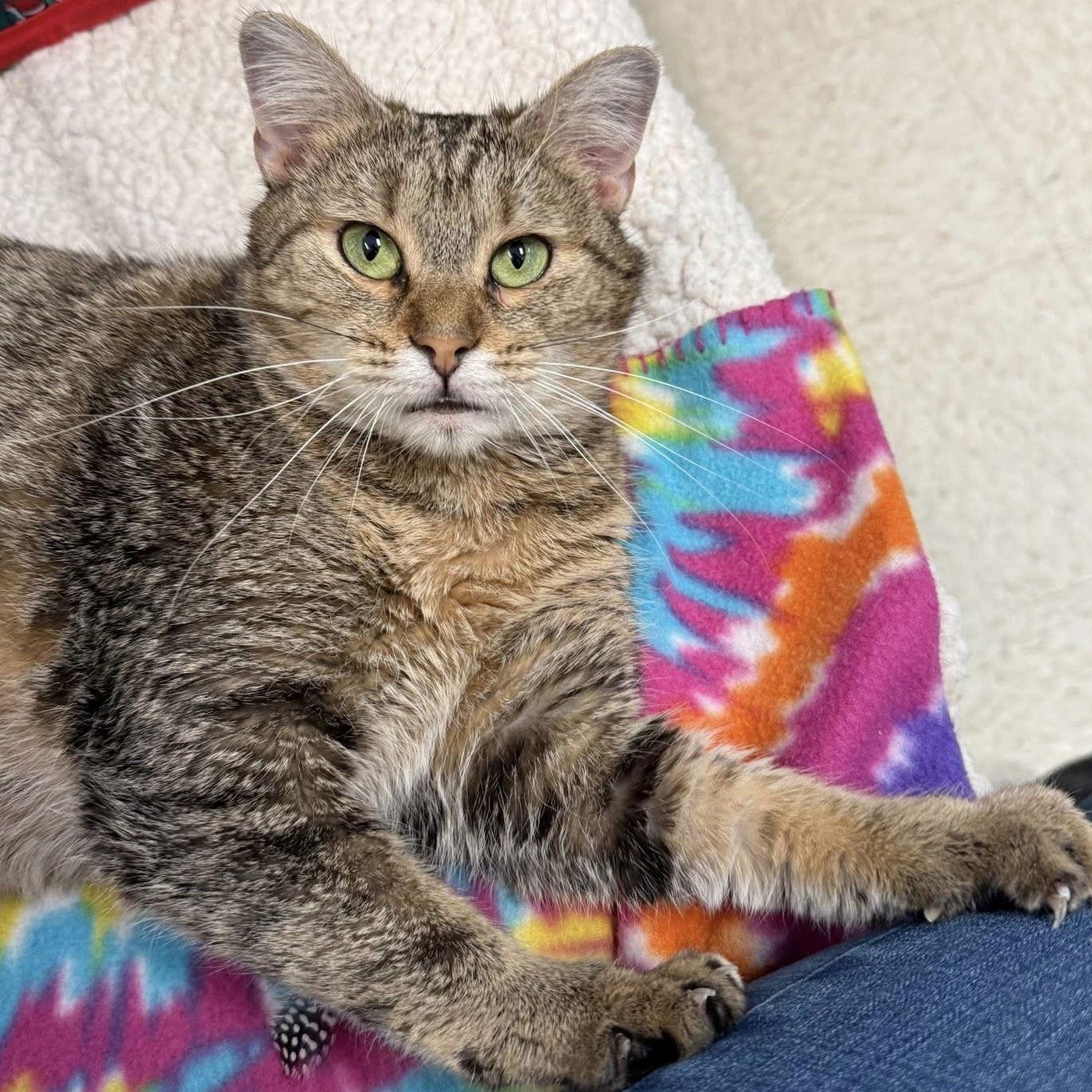 Emerald — thumbnail 2