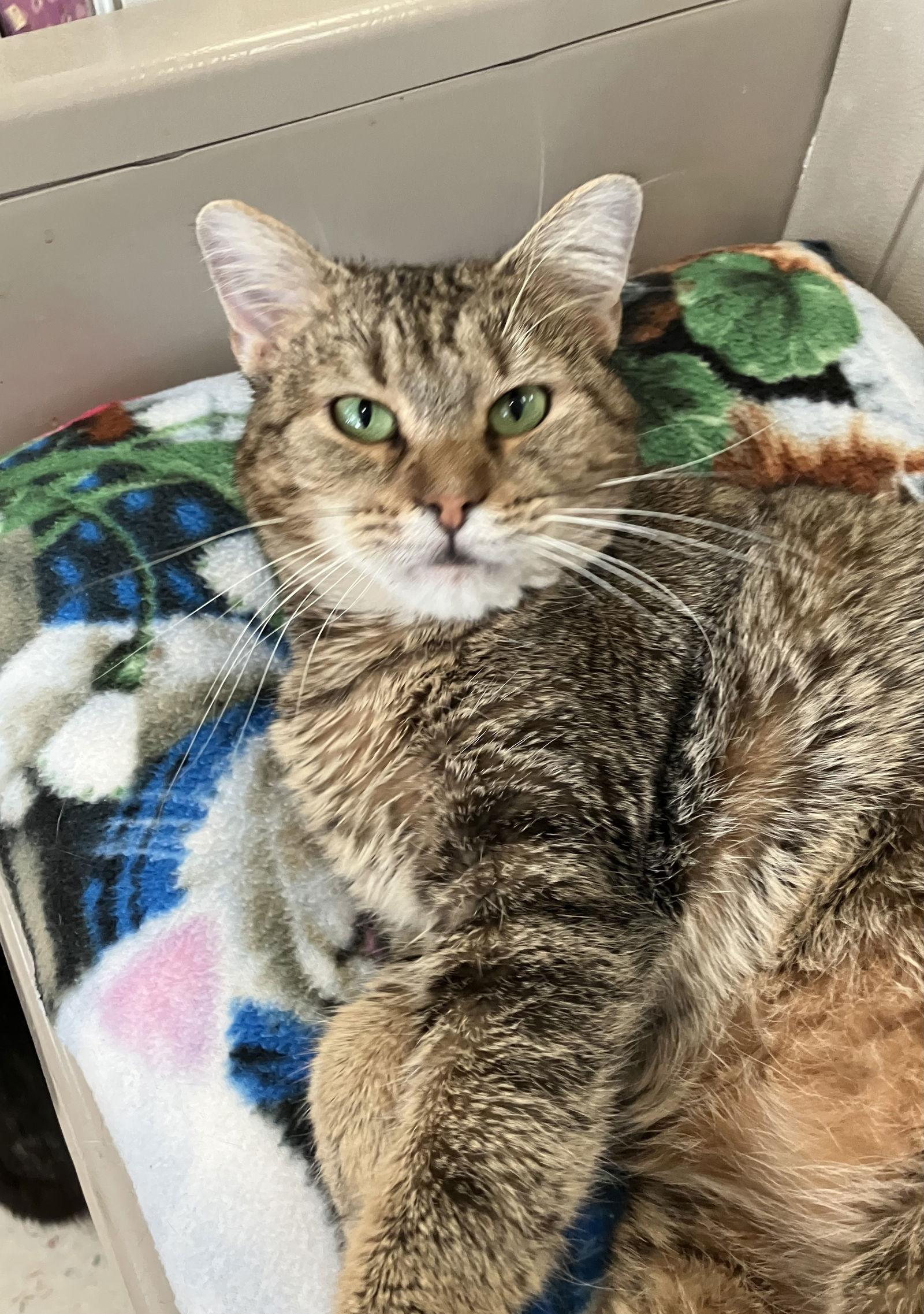 Emerald — thumbnail 3