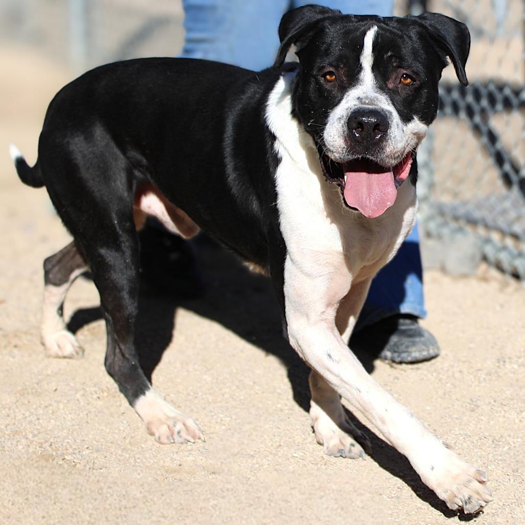 King — thumbnail 2