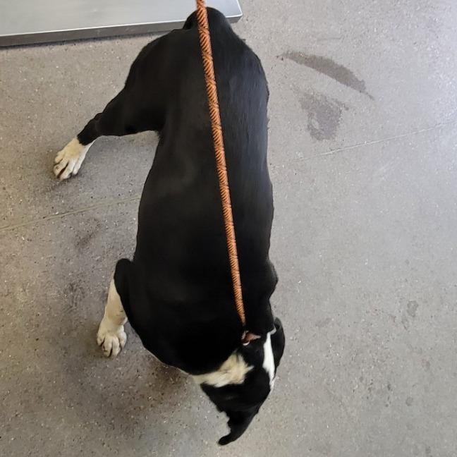 King — thumbnail 5