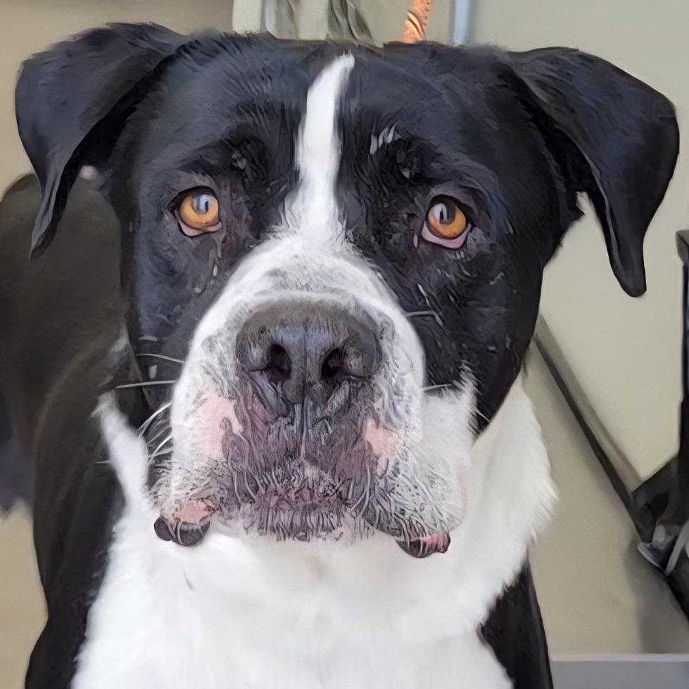 King — thumbnail 6