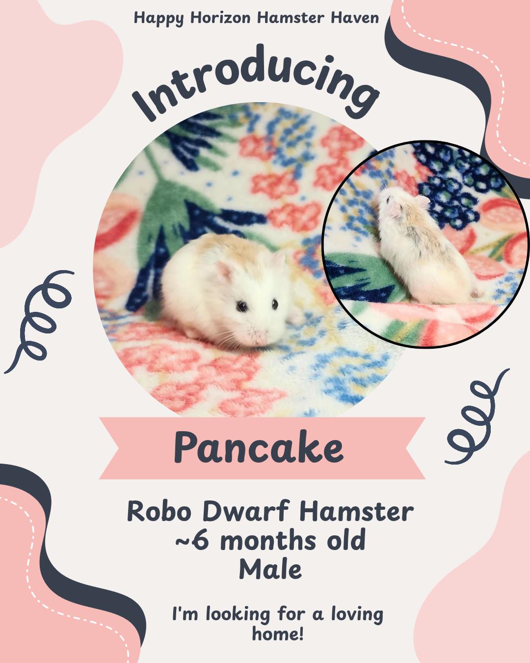 Pancake