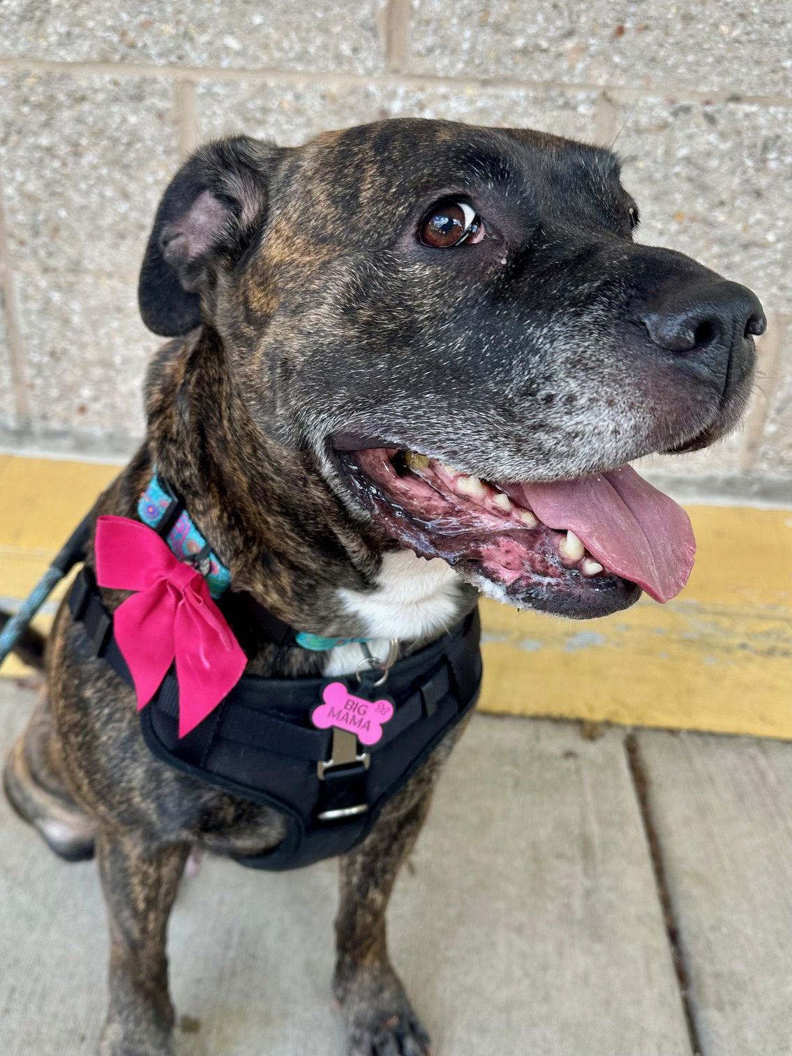 Big Momma thumbnail 2