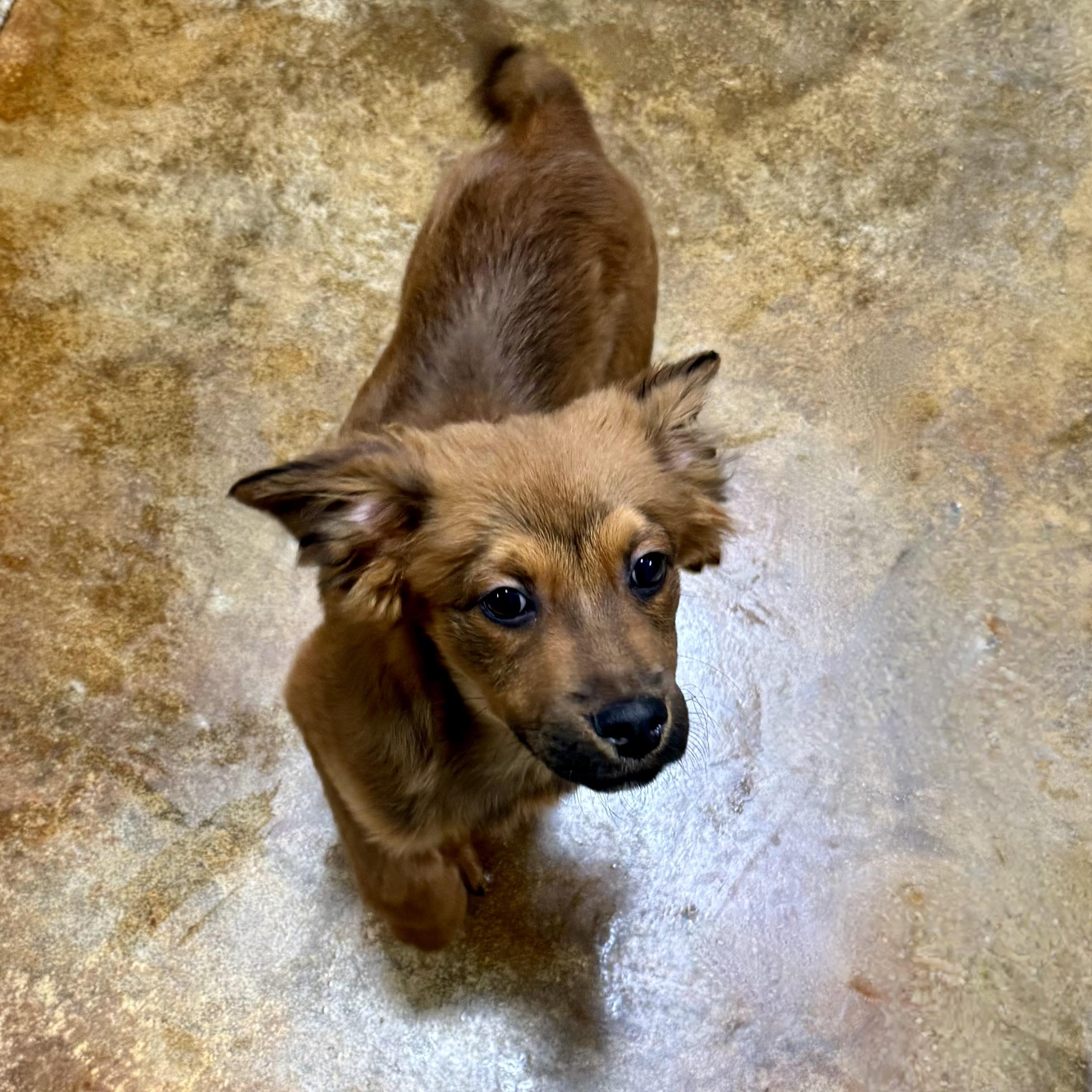 Squirt—urgent! thumbnail 2