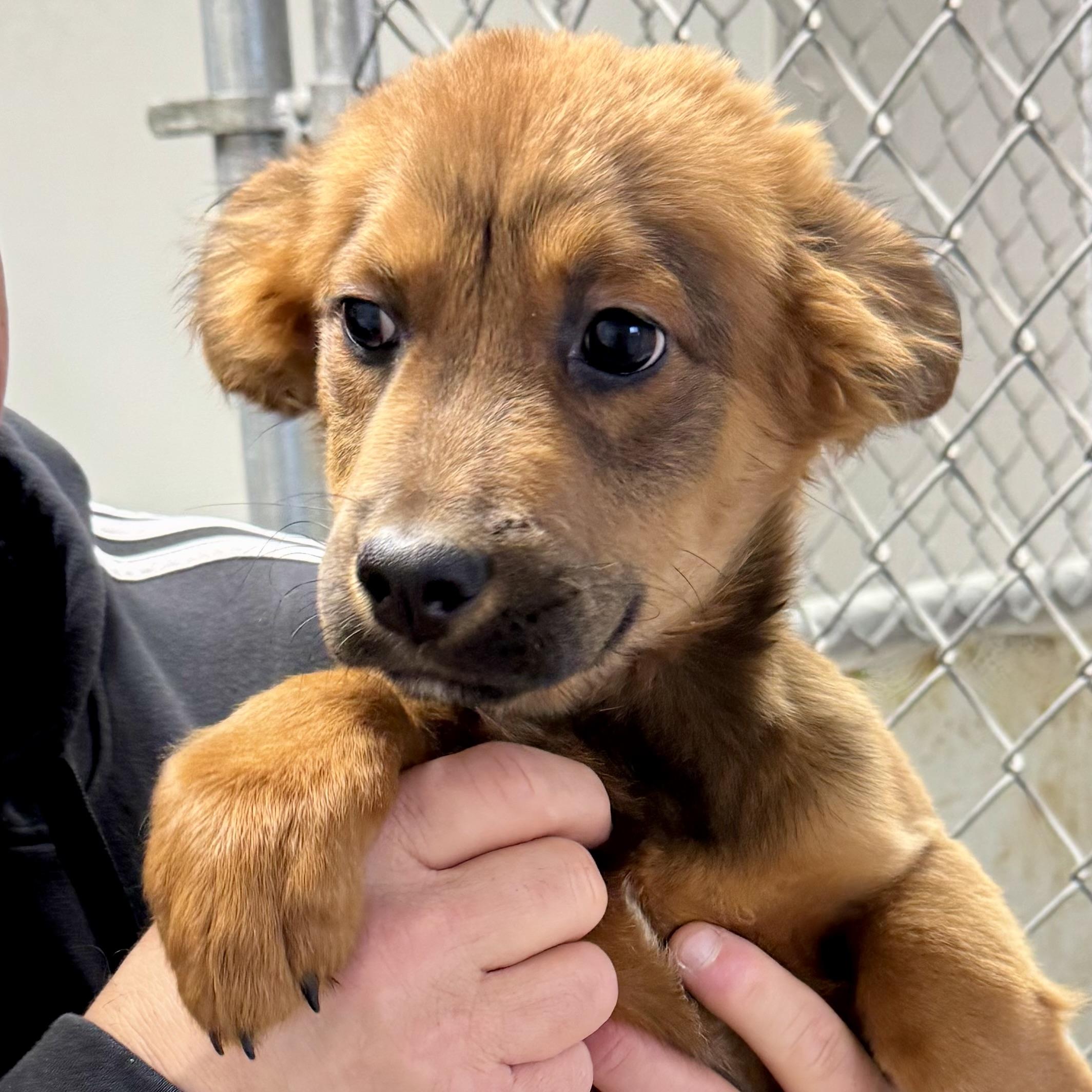 Squirt—urgent! thumbnail 3