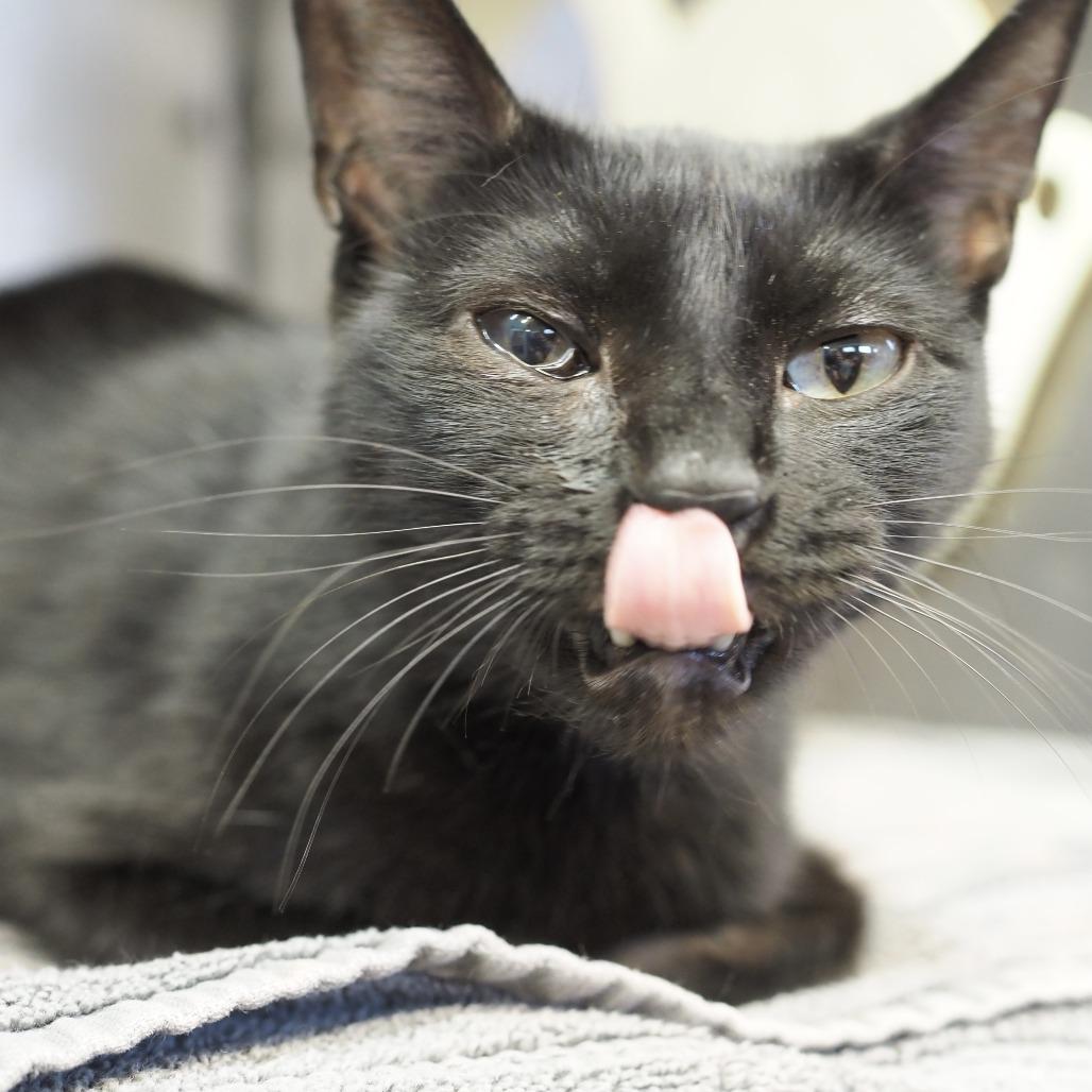 Boop — thumbnail 3