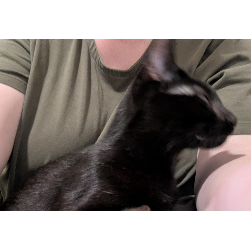 Boop — thumbnail 6