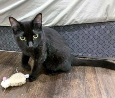 Tabitha photo 1
