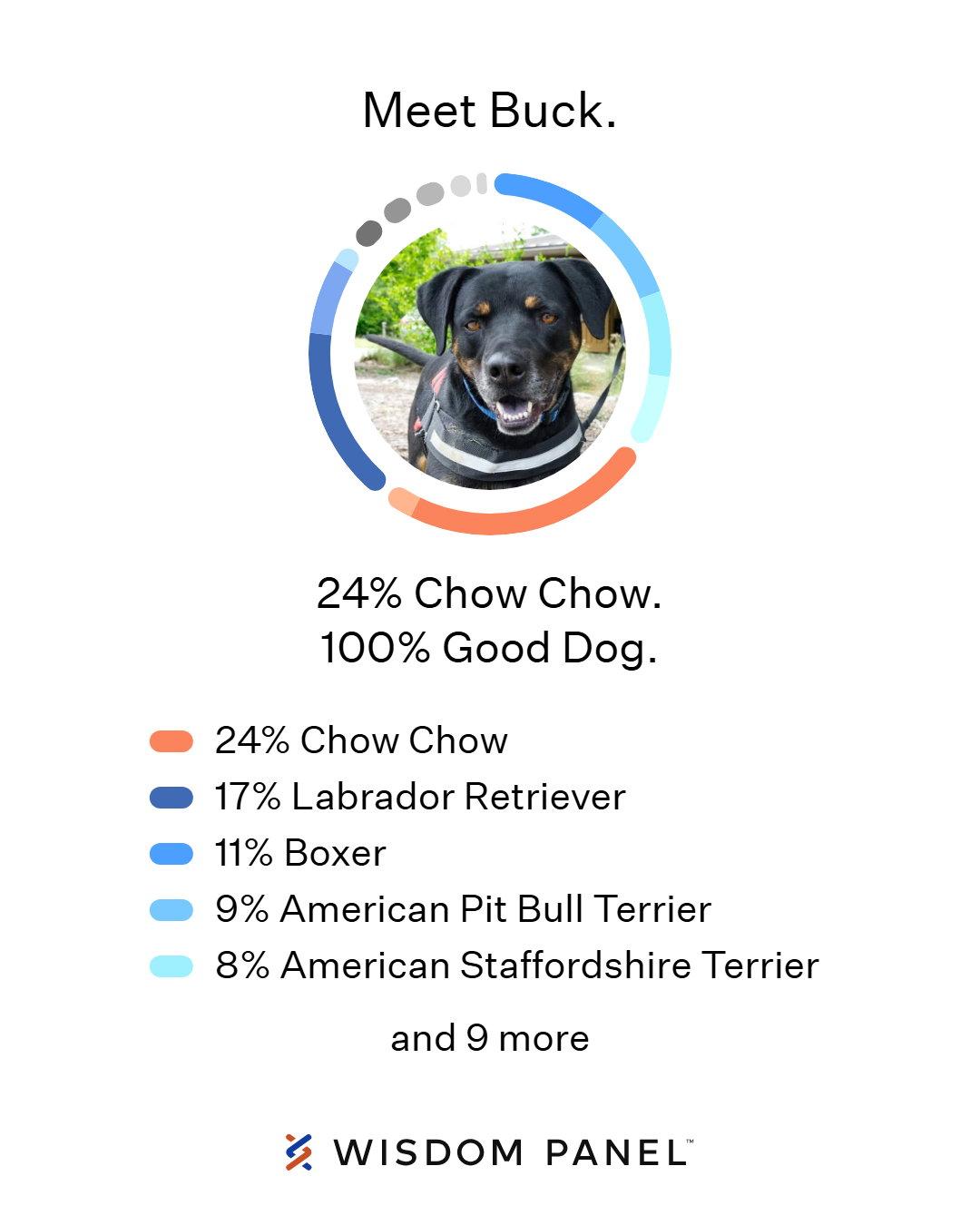 Buck, a Adoptable mixed breed in Mountain View, AR image 3/3