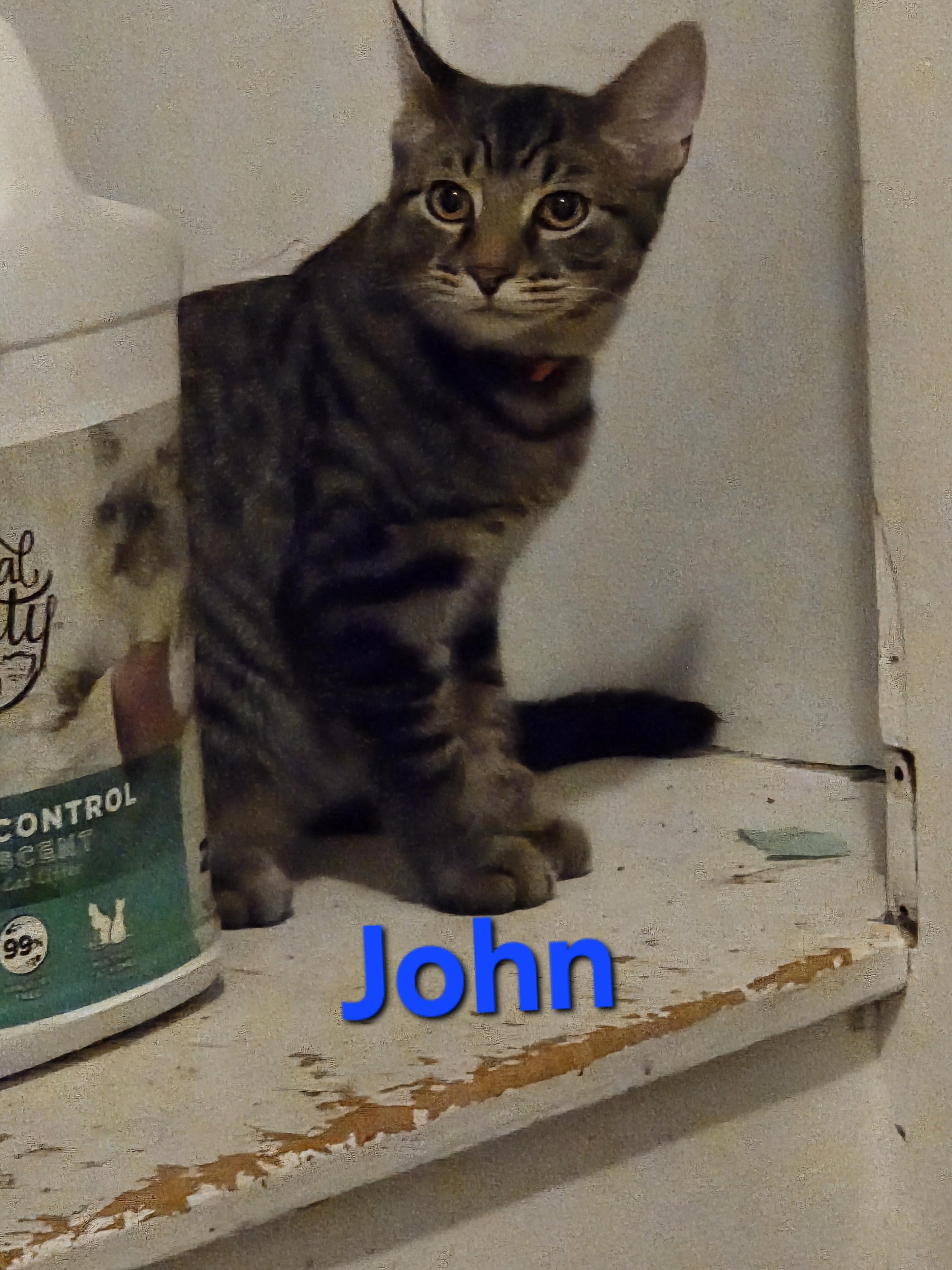 John photo 1