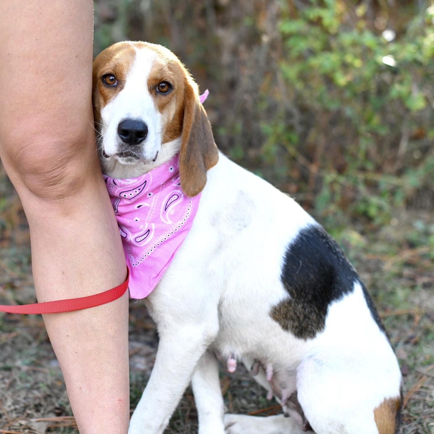 Sally (Available in Florida)