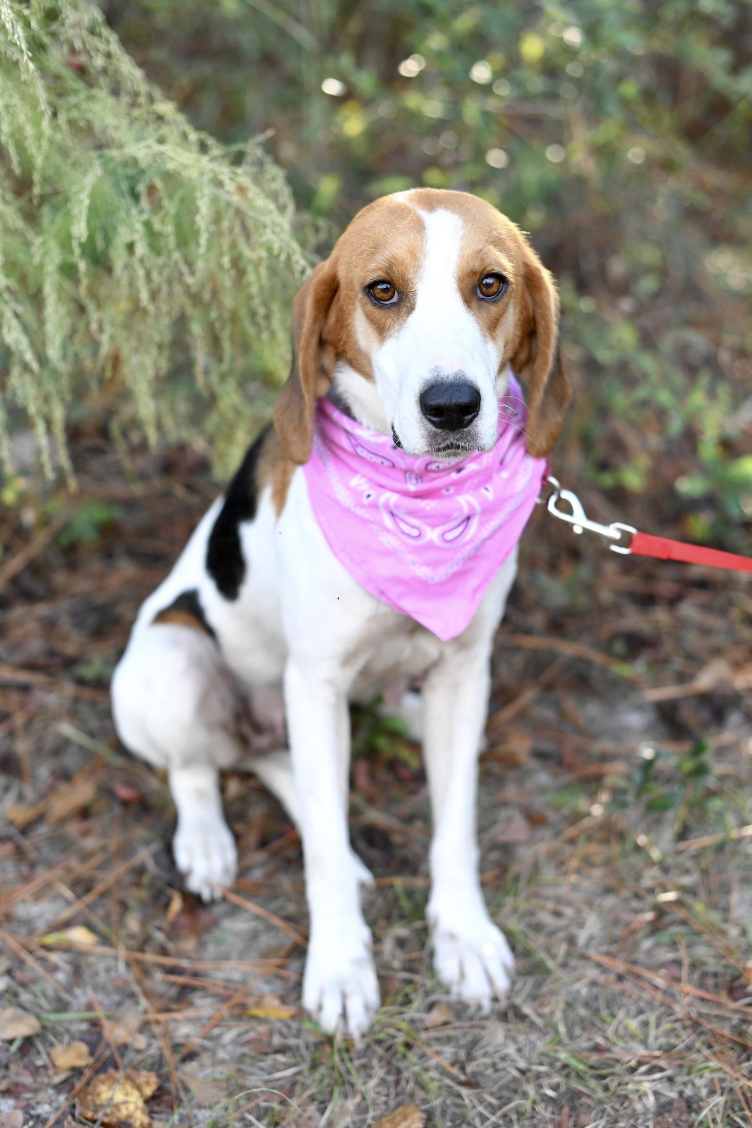 Sally (Available in Florida)