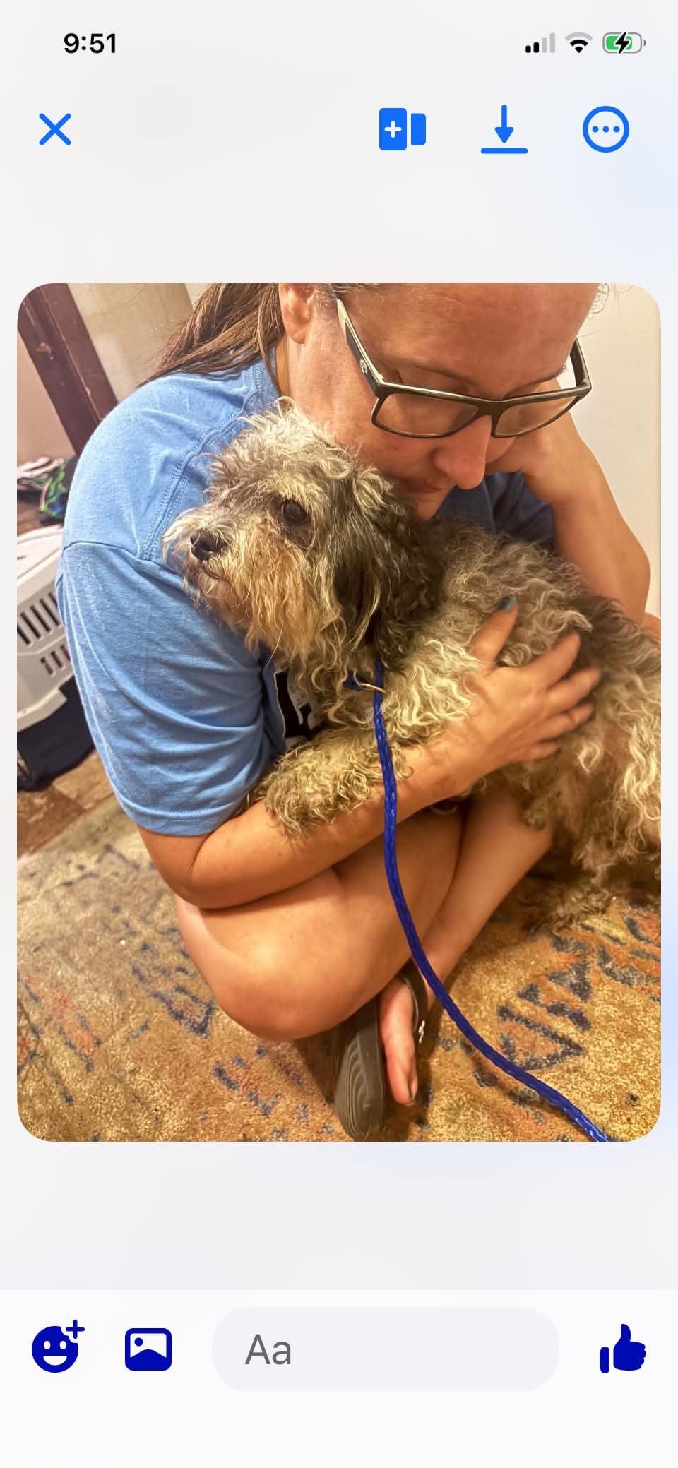 Enlarge Tucker, a Adoption Pending mixed breed in Danville, VT image 5/5