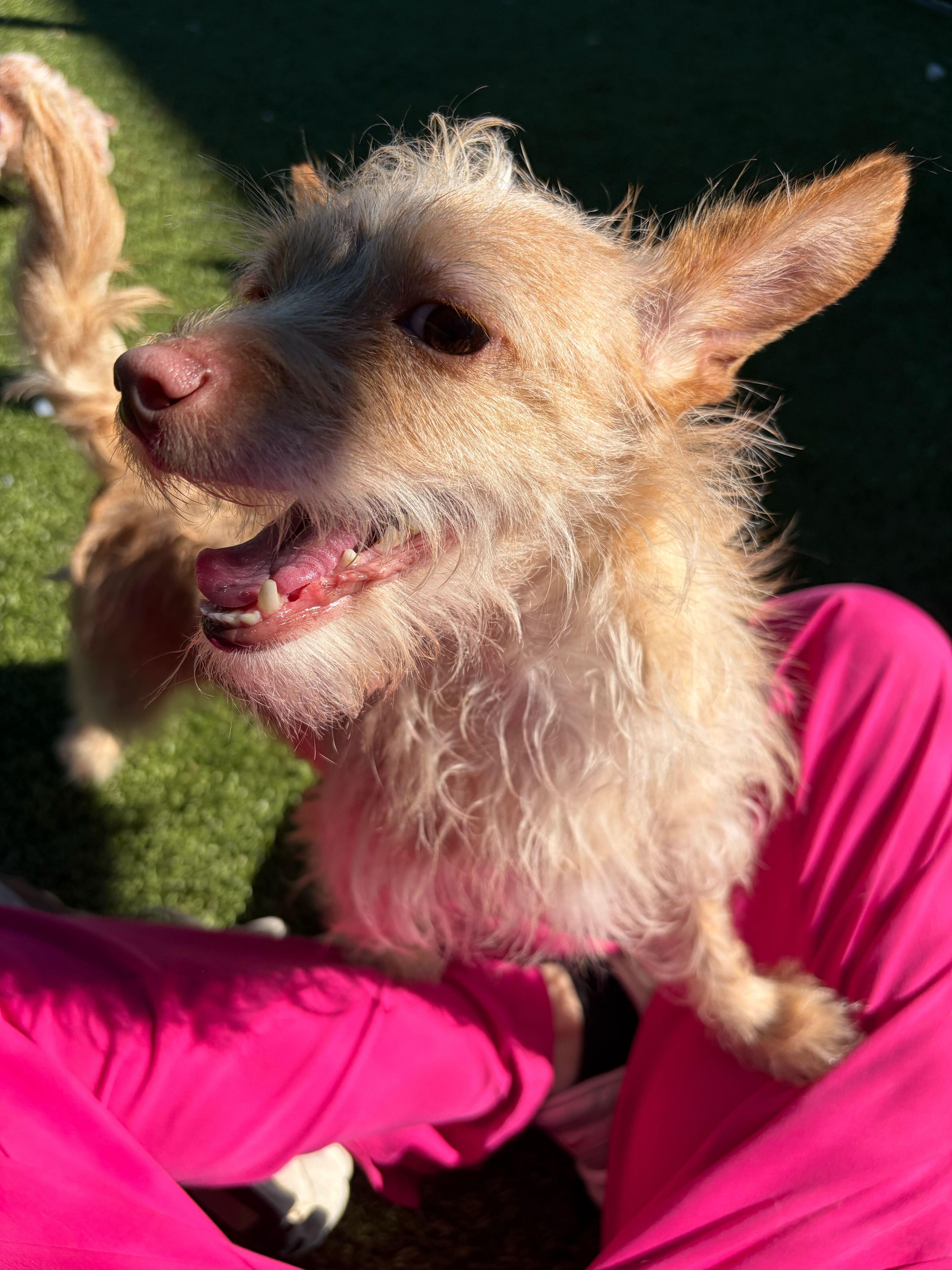 Luka