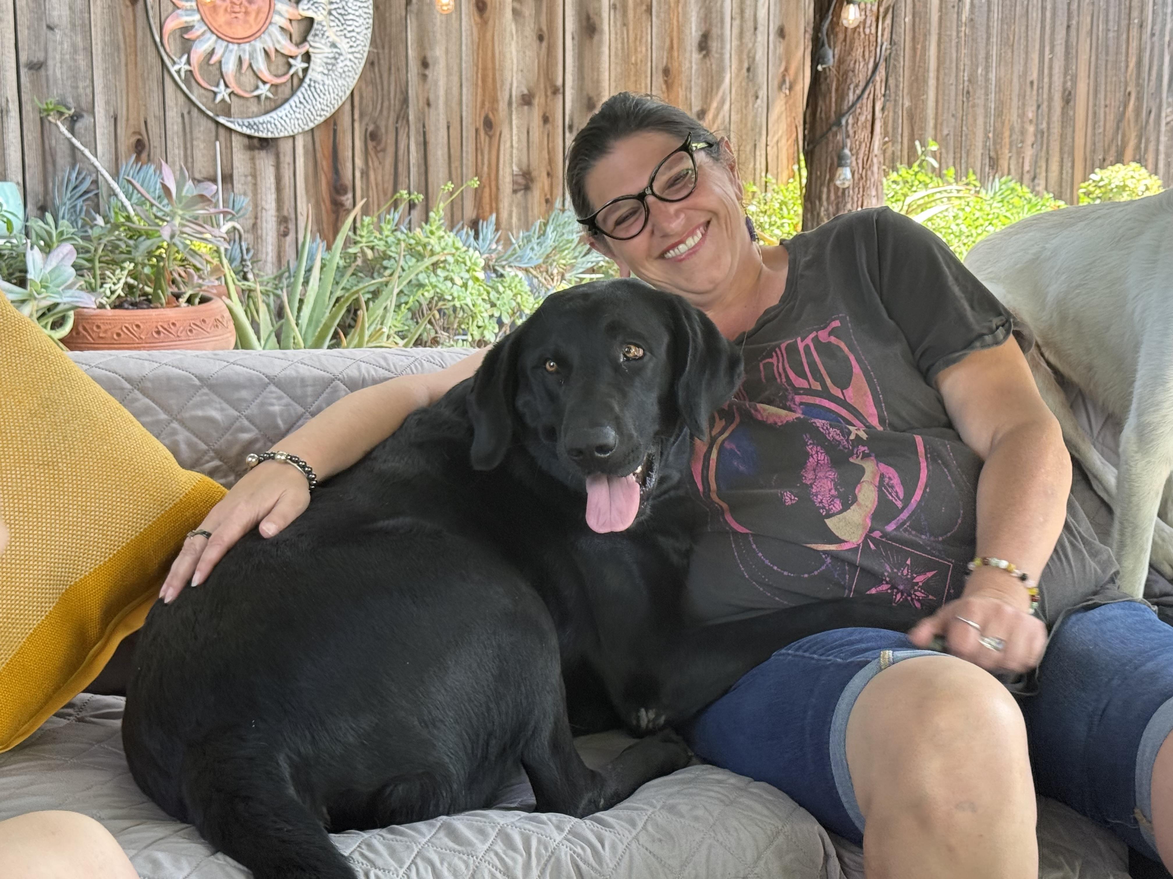 Enlarge Gunner, a ADOPTABLE mixed breed in Concord, CA image 2/6