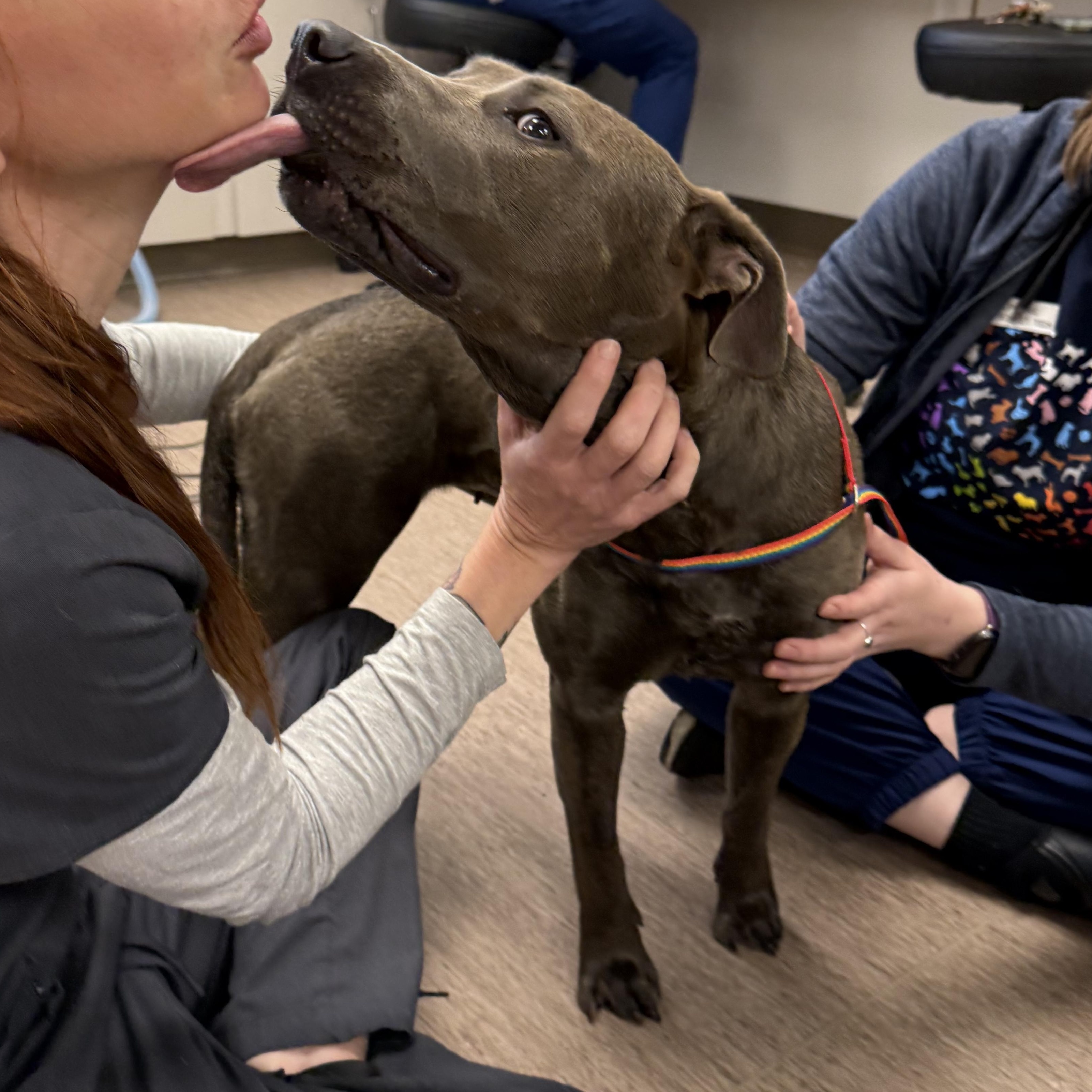 Marceline thumbnail 3