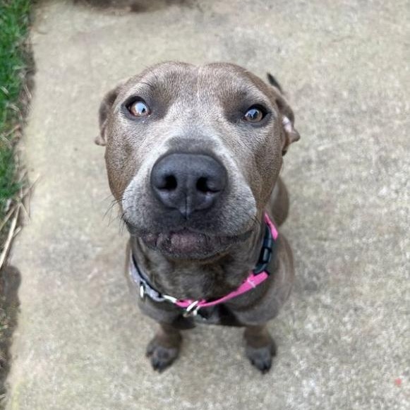 Marceline thumbnail 2